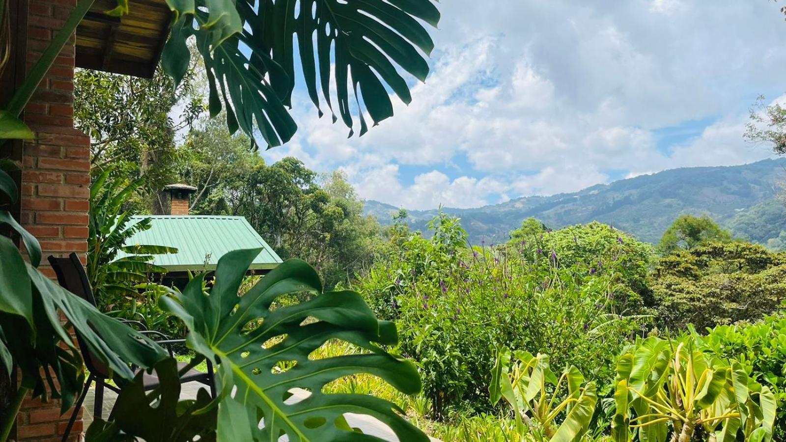 El Toucanet Lodge & Restaurante