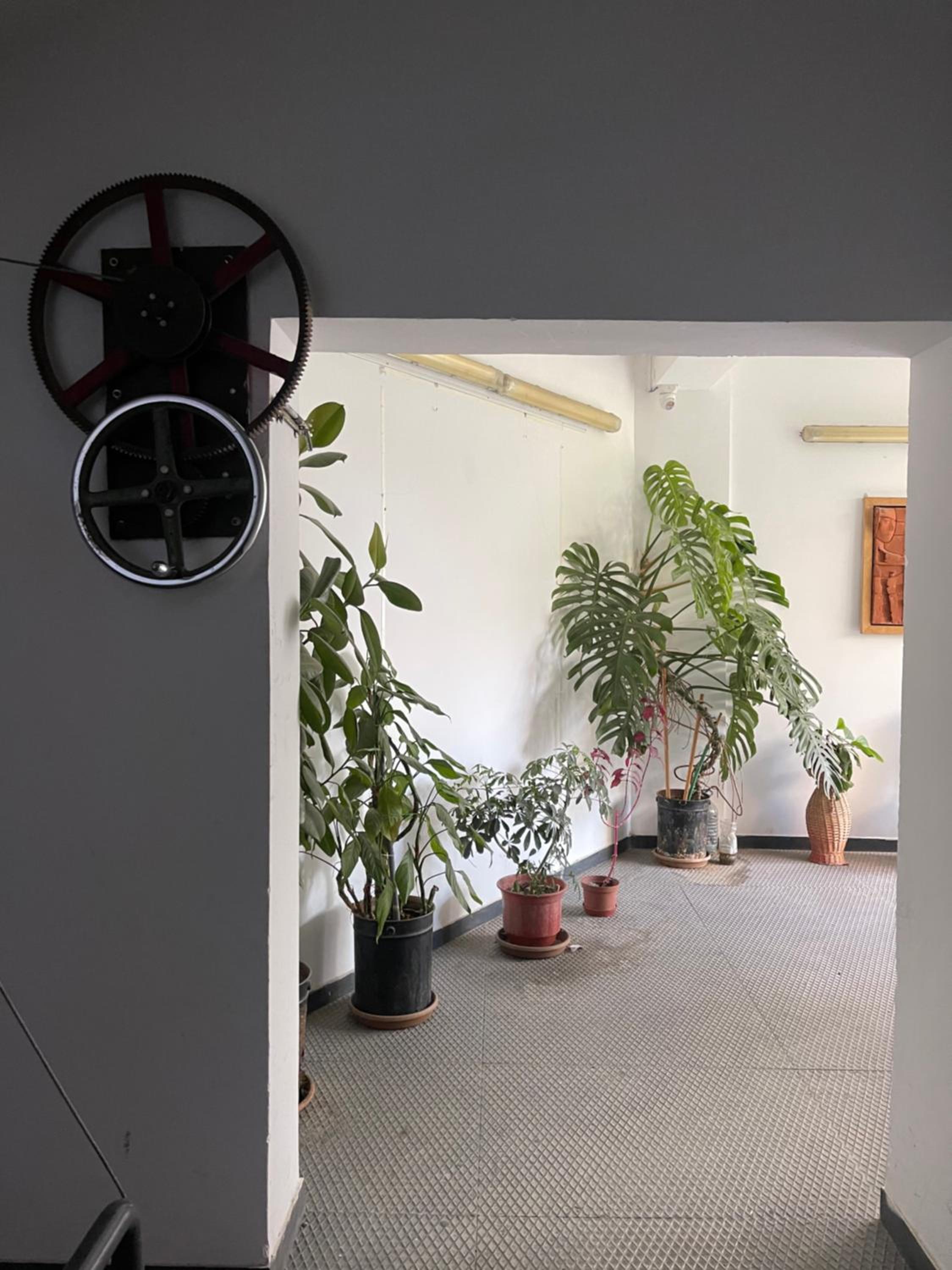 Flex Apartment