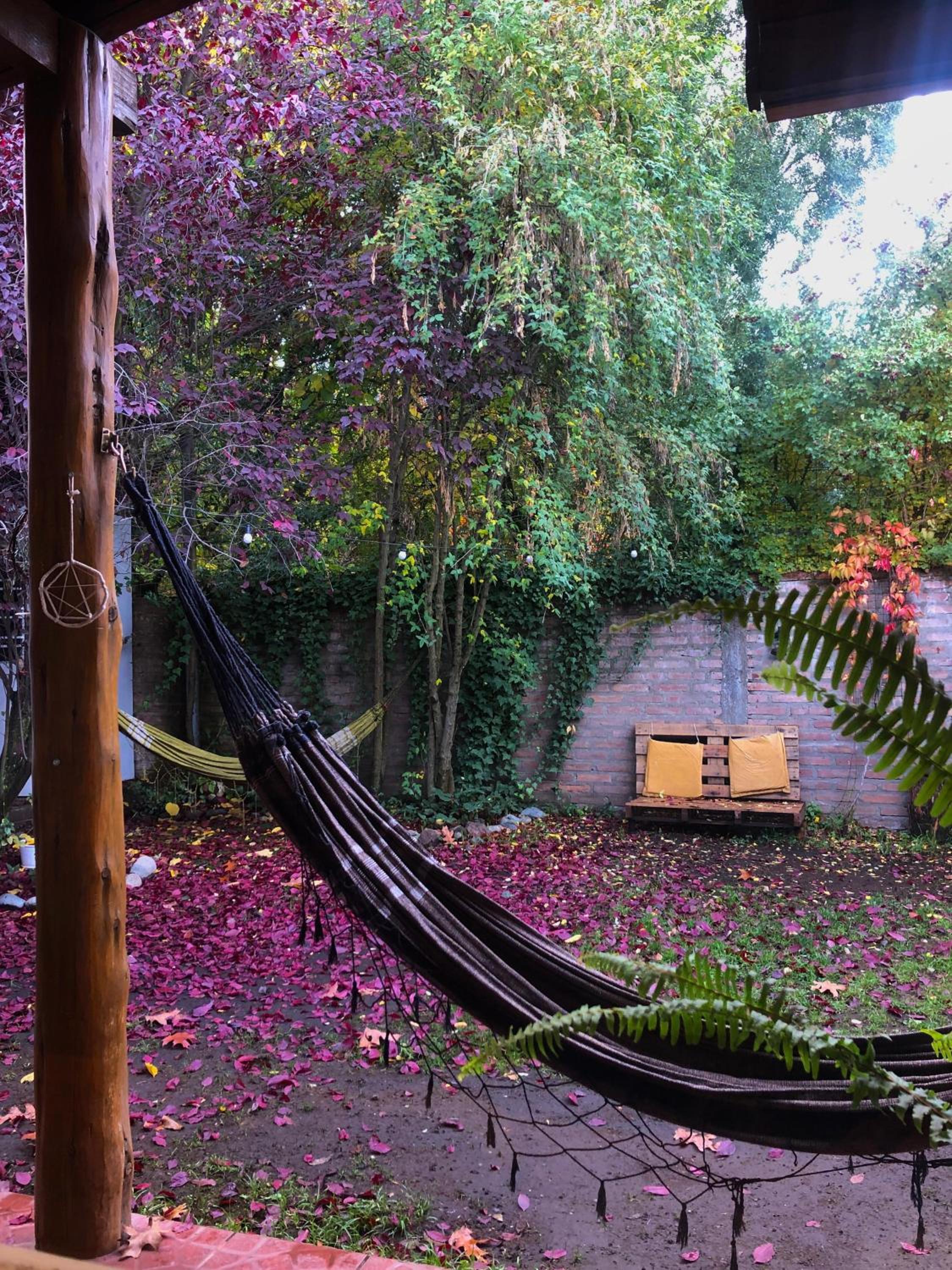 Hostel Cosmo