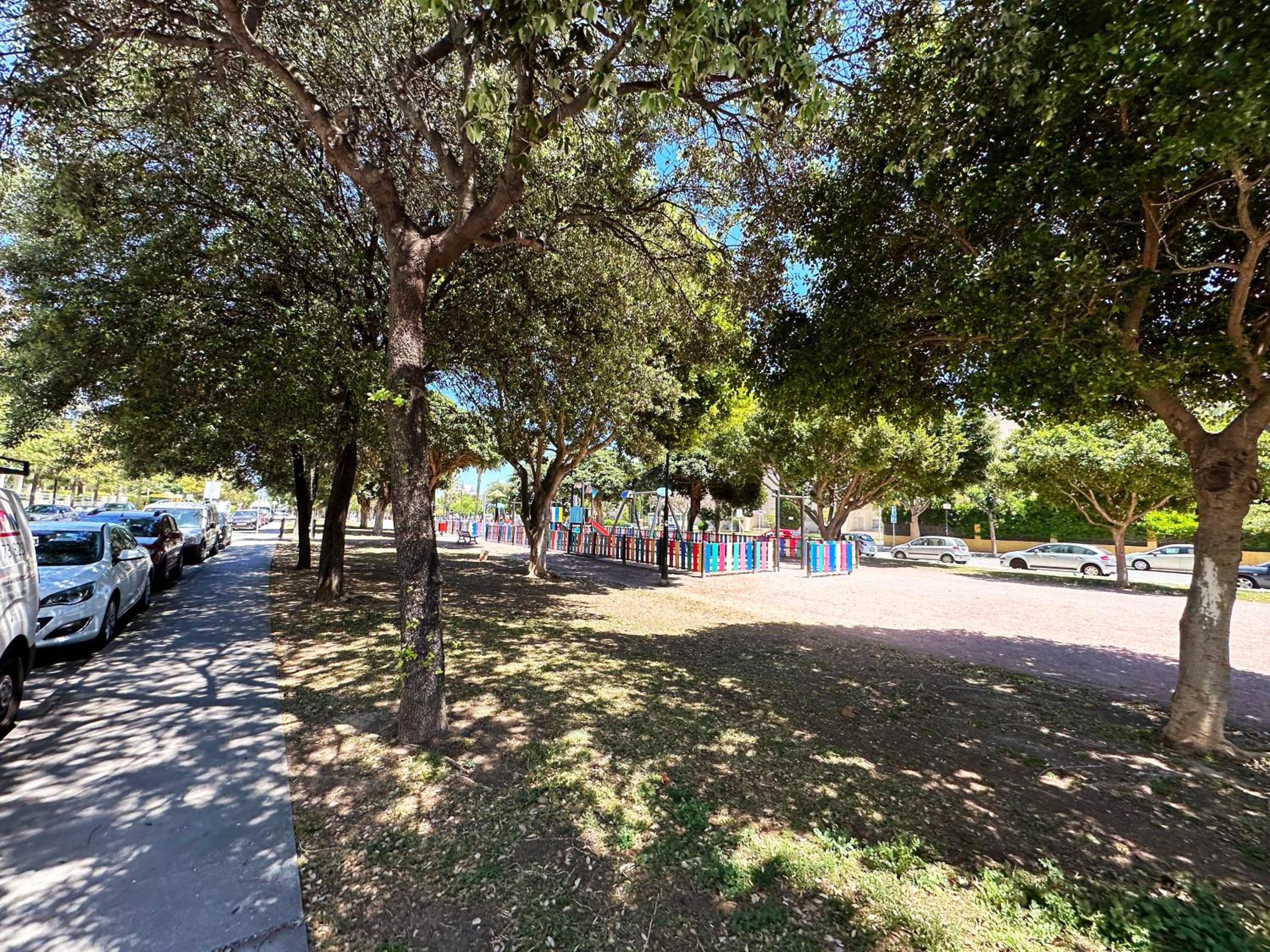 Photo 46