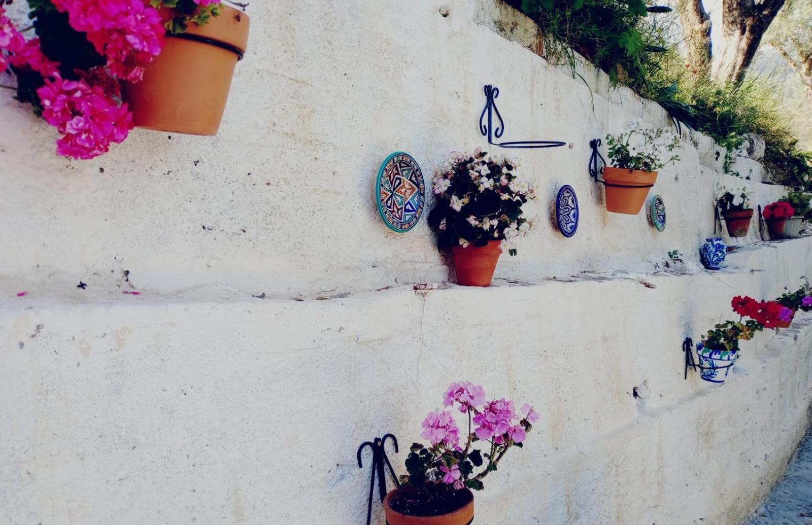 Cortijo Rural Andalusí