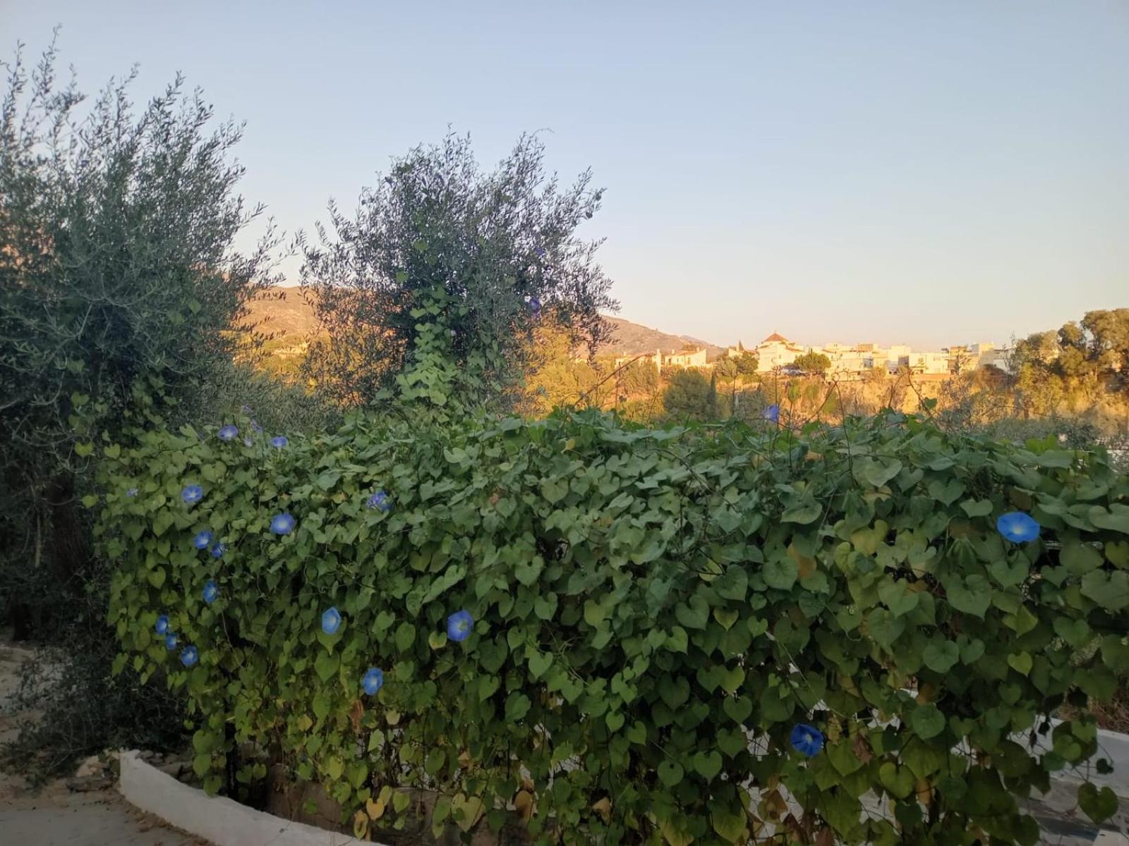 Cortijo Rural Andalusí
