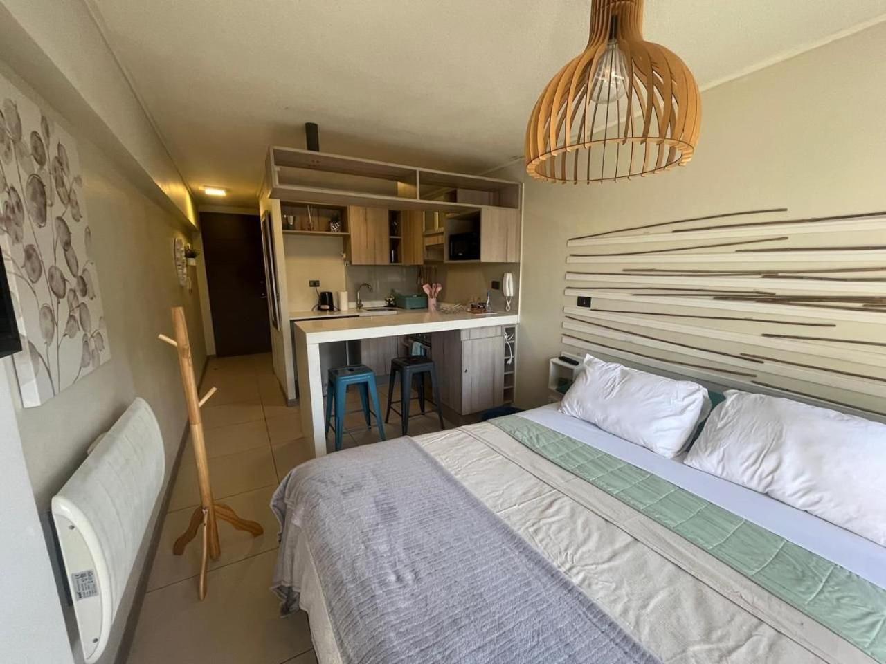 Lindo departamento tipo Loft en Ñuñoa