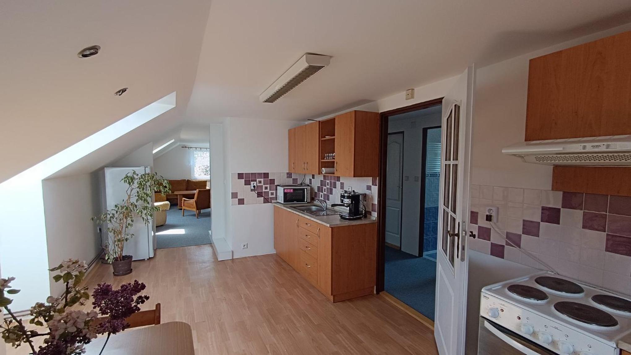 Apartment Vcelakov