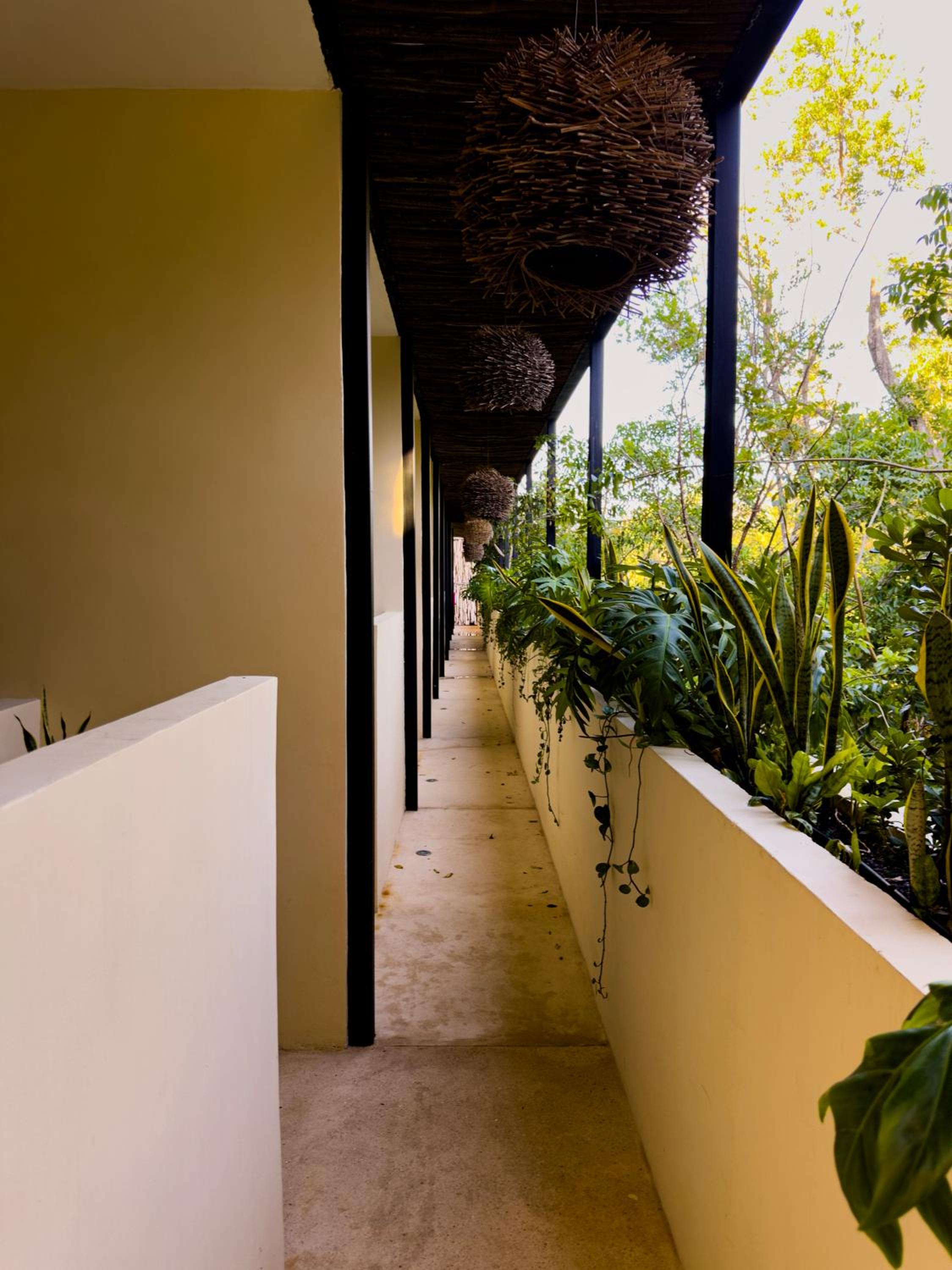Penthouse Kuukum Tulum view 4