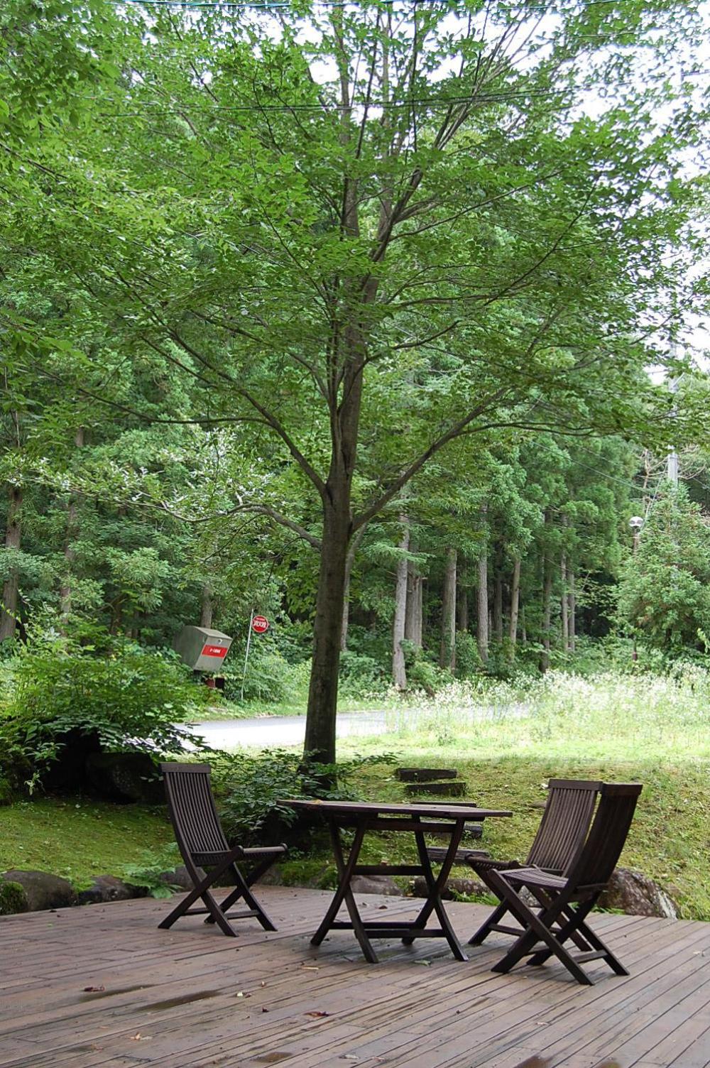 Il Bosco