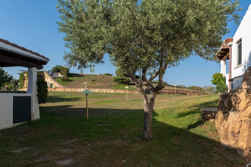 [200m Dal MARE] Giardino Piscina view 5