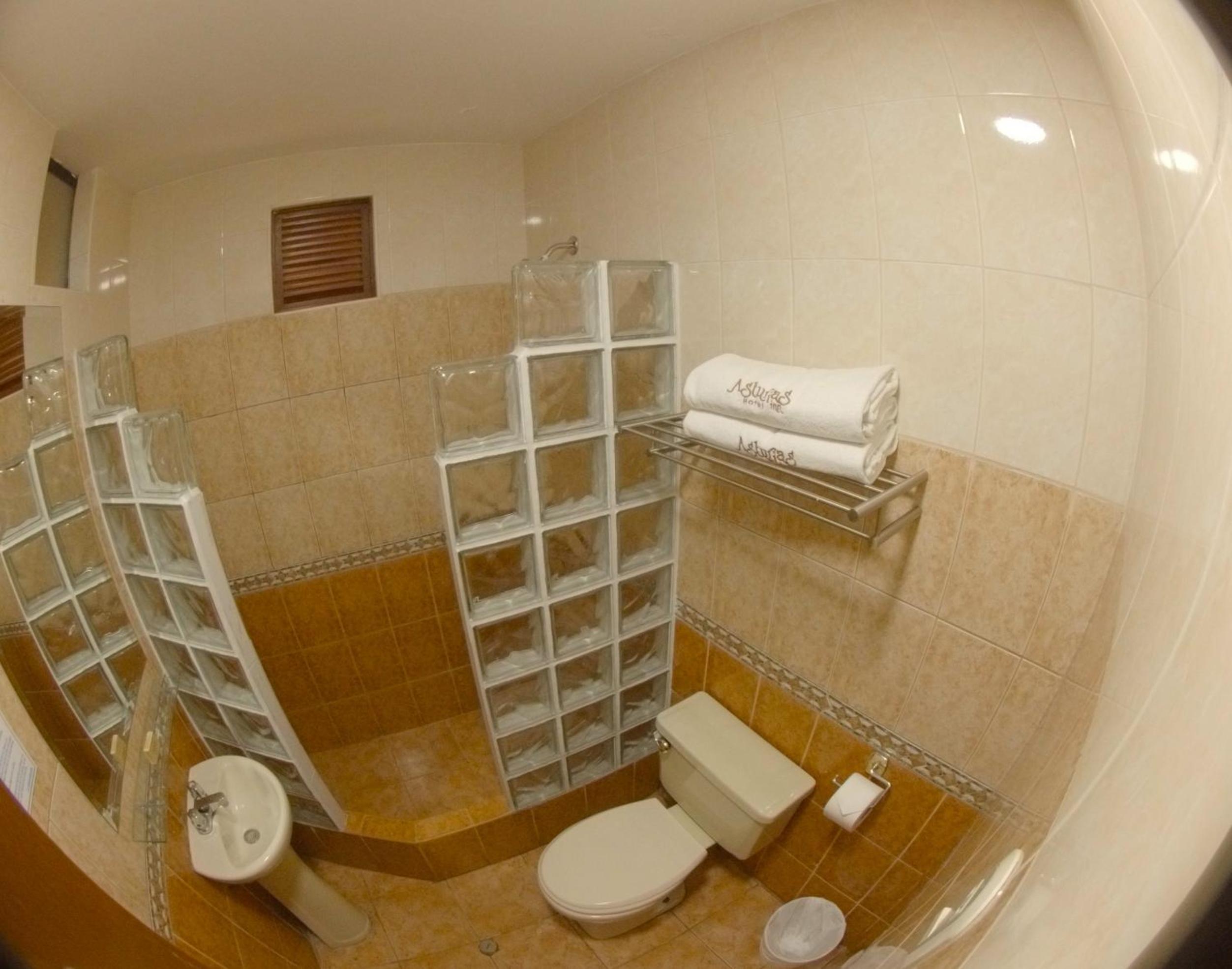 Hotel Asturias Inn, photo 20