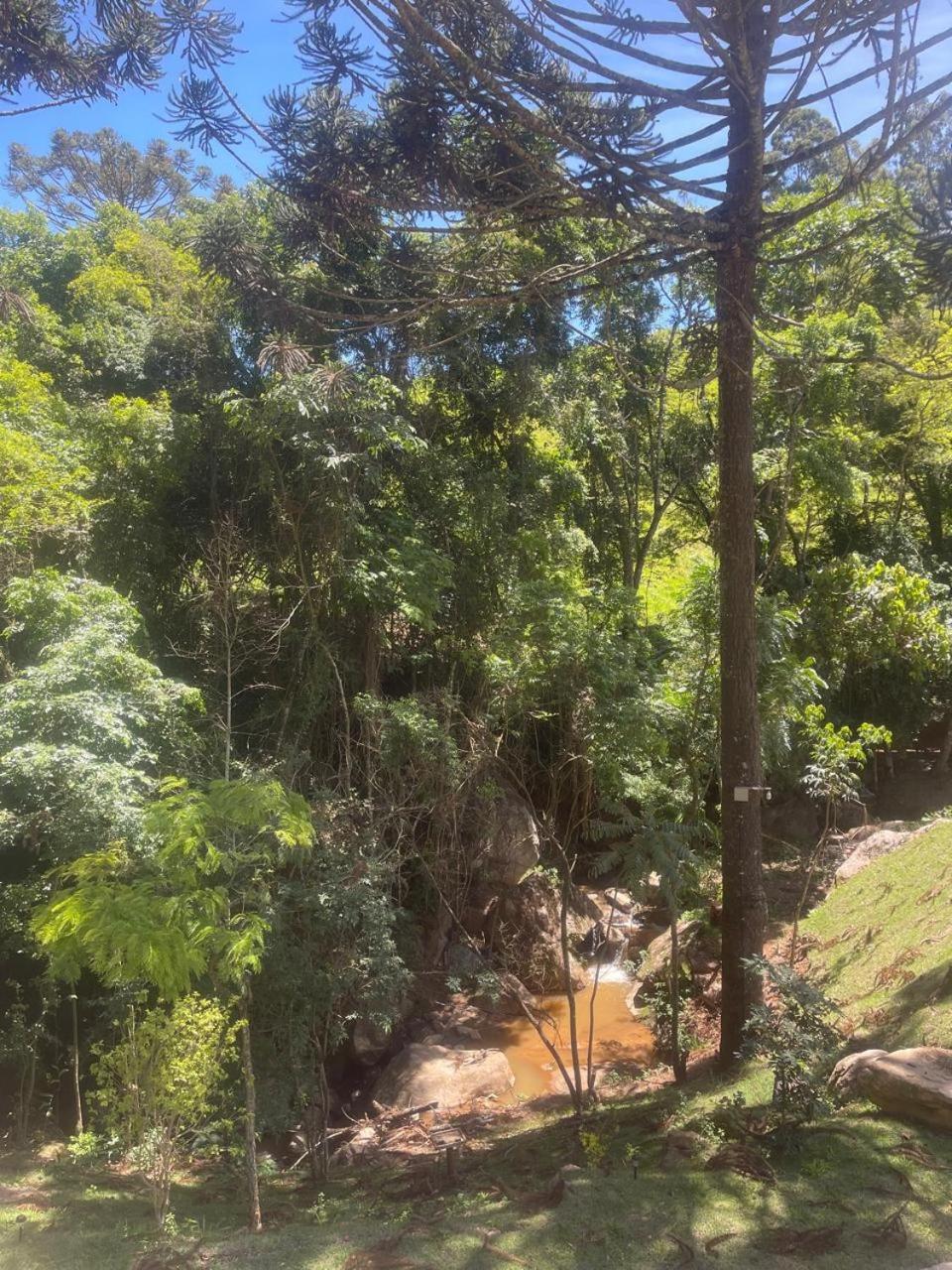 Pousada Villa Del Bosque