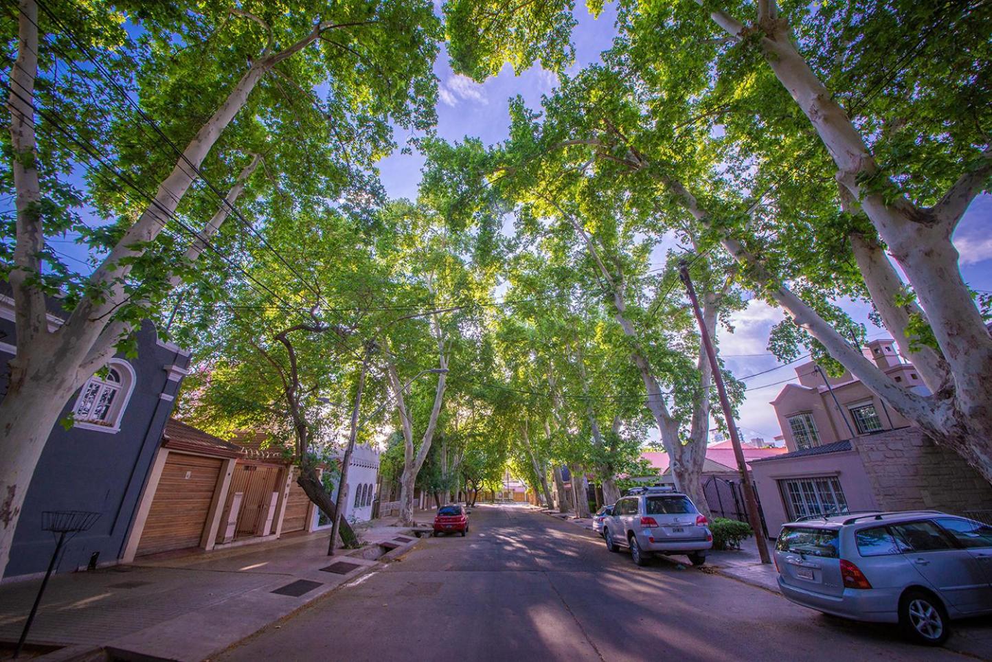 Urban Oasis Mendoza