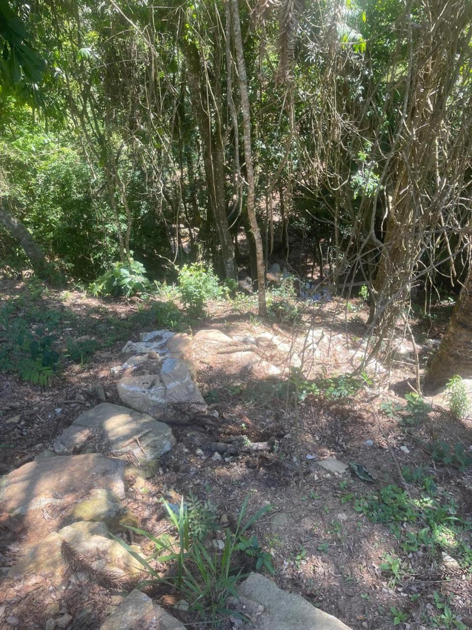 Pousada Villa Del Bosque