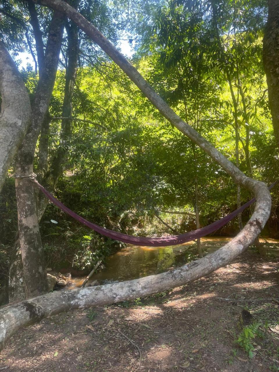 Pousada Villa Del Bosque