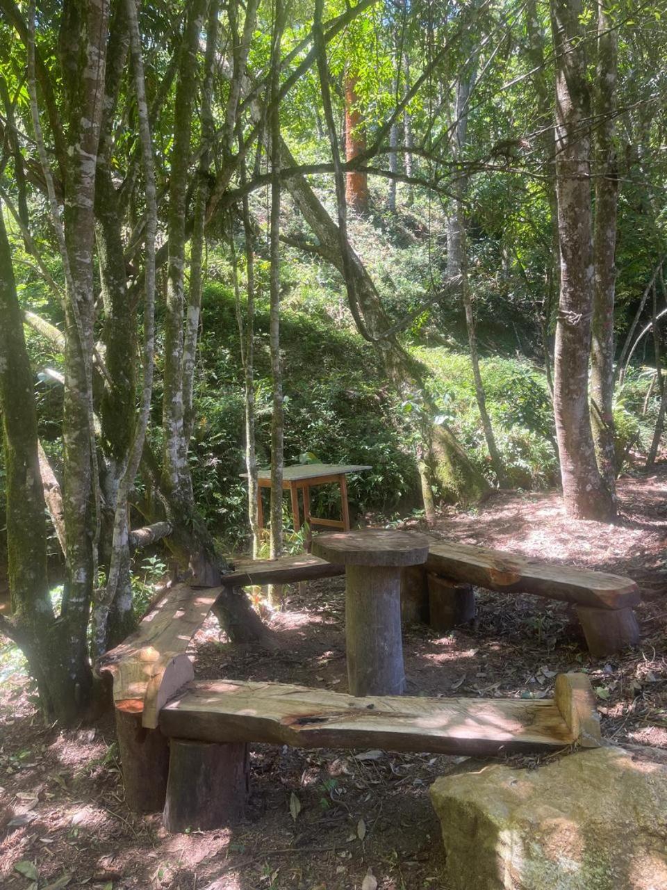 Pousada Villa Del Bosque