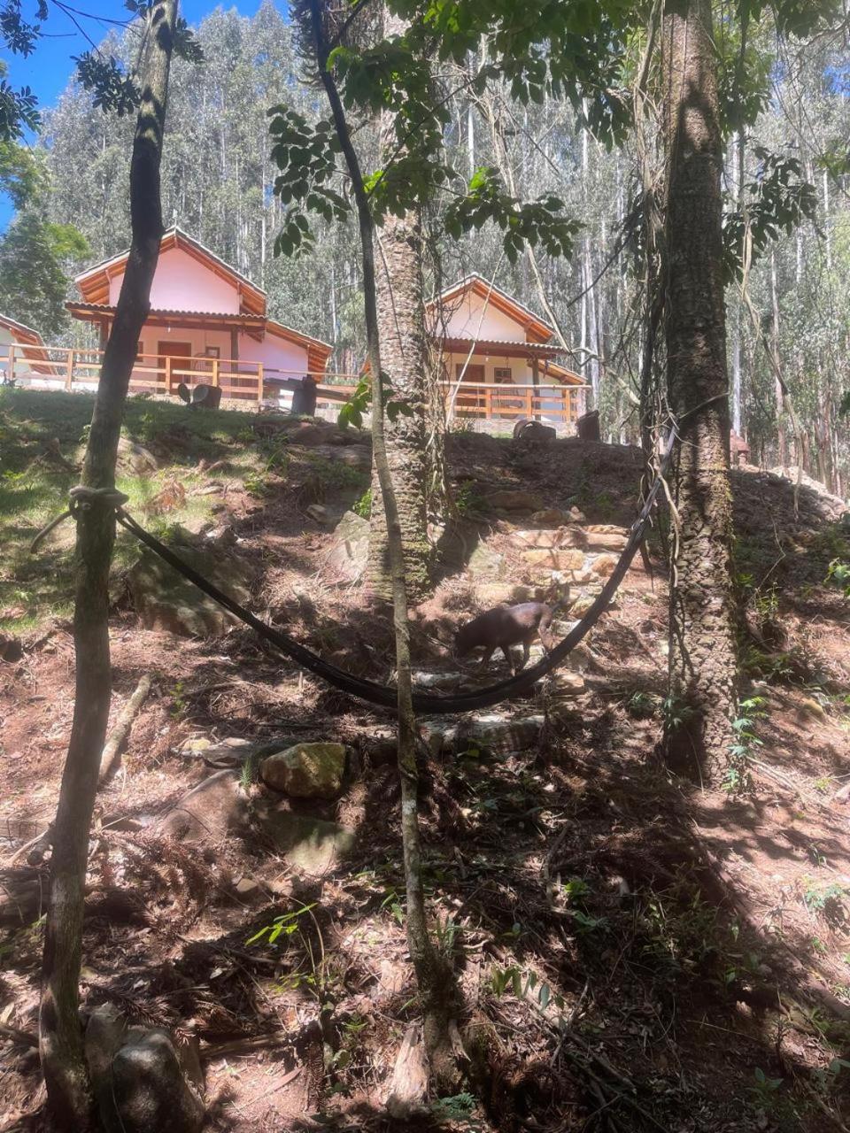 Pousada Villa Del Bosque