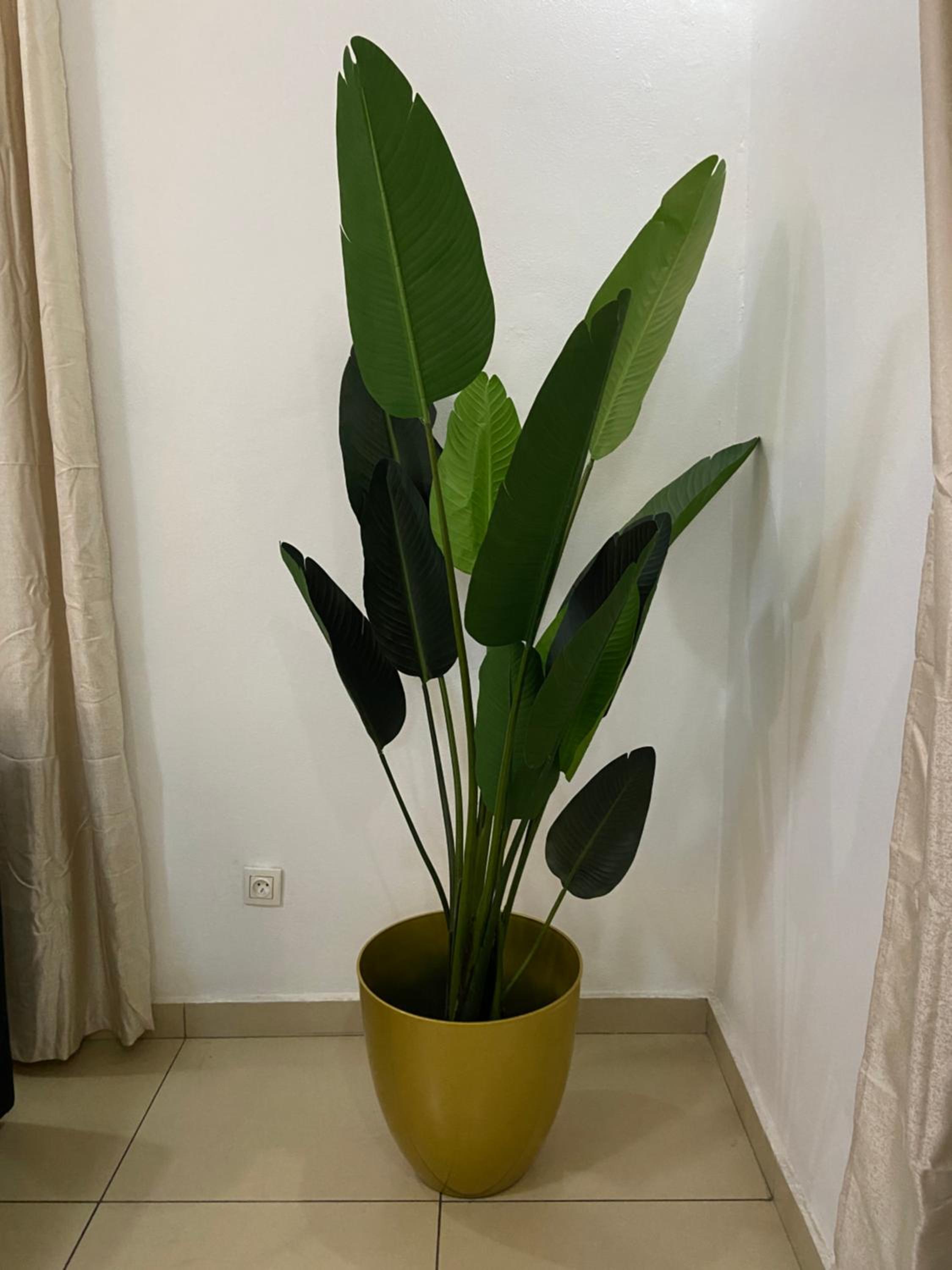 Stylish African-Chic Apartment - WiFi, Gardien, Parking, Climaté