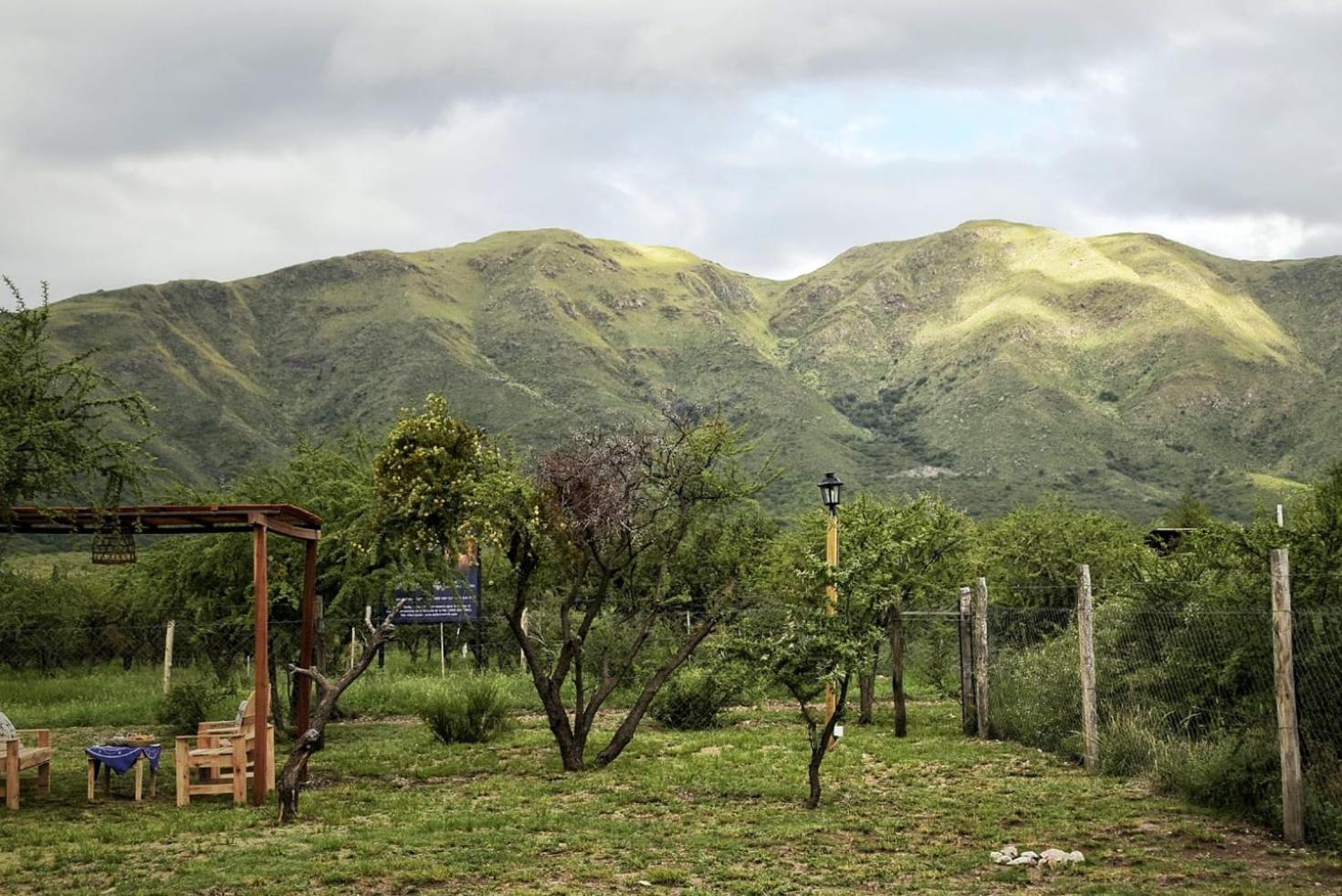 Brisas de Geranio