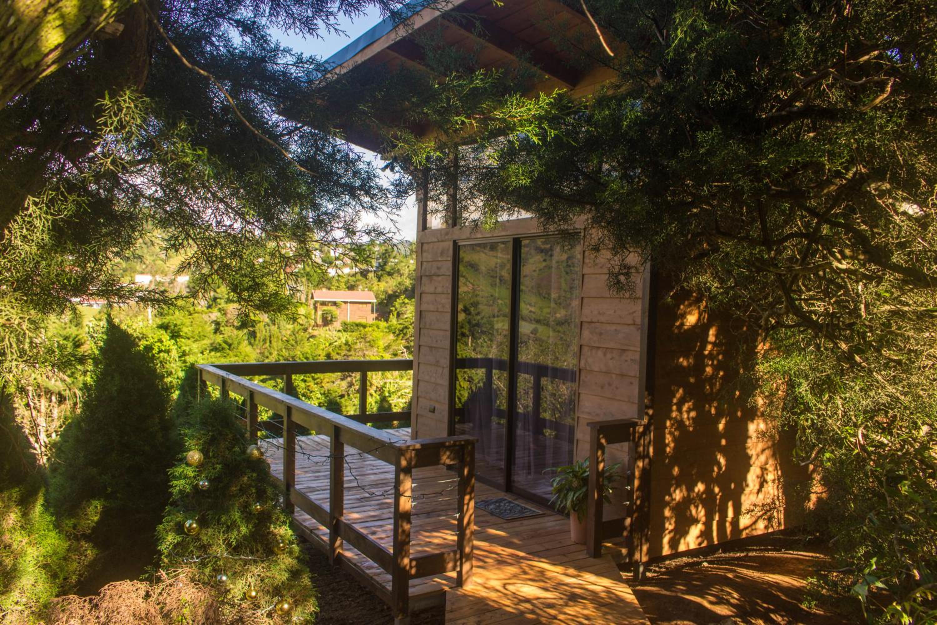 Cypress House Costa Rica