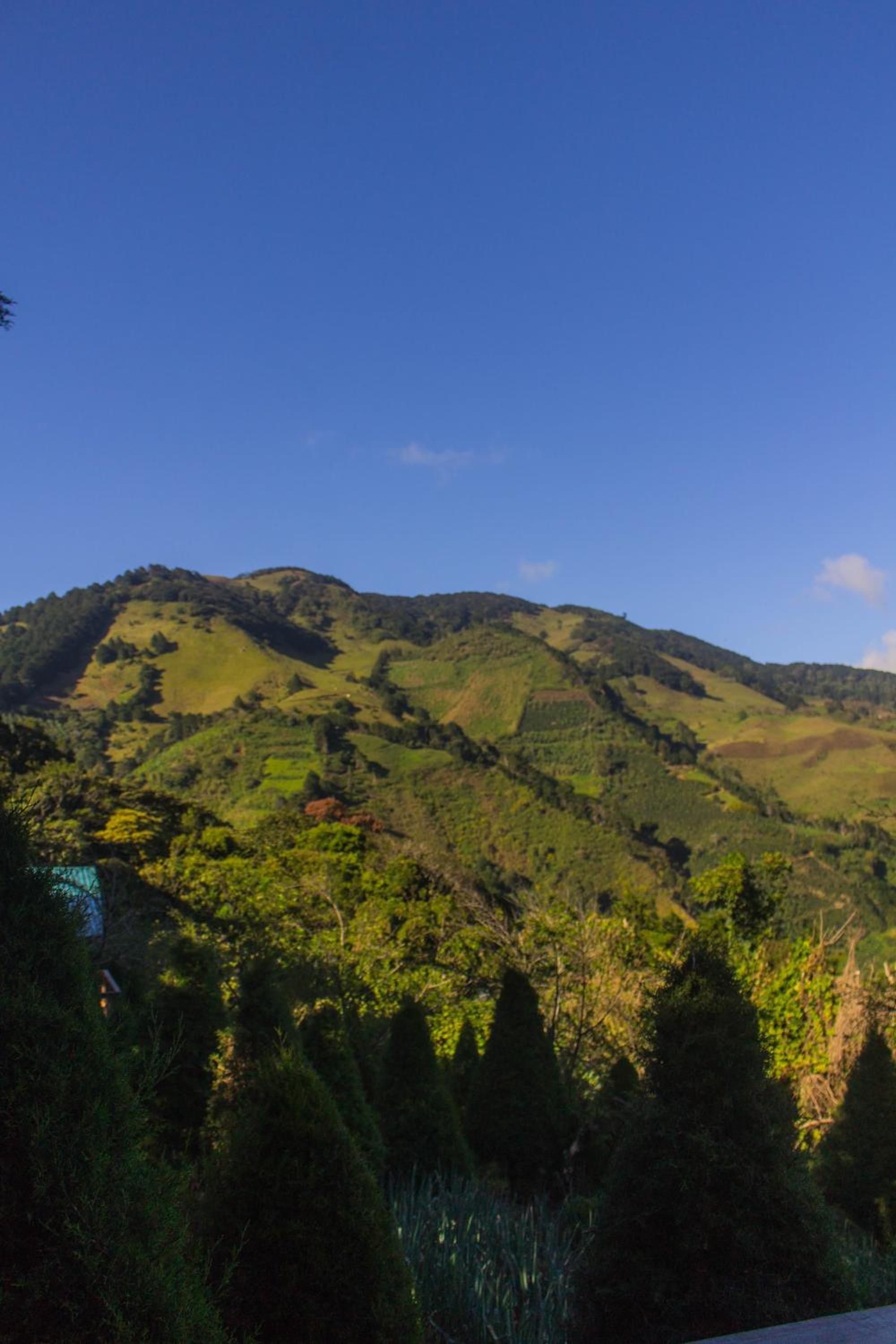 Cypress House Costa Rica
