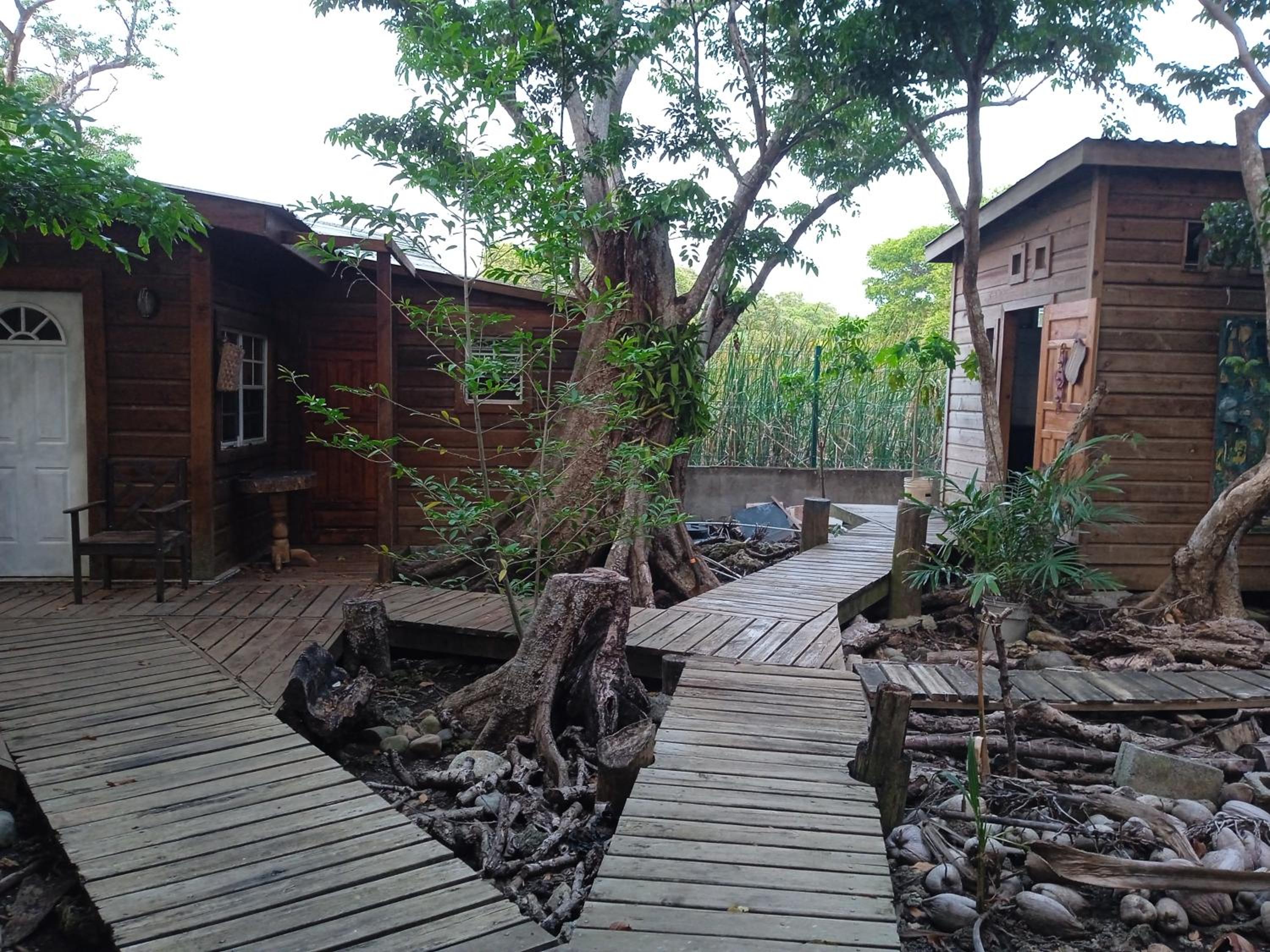 Cabaña-estudio selvatica
