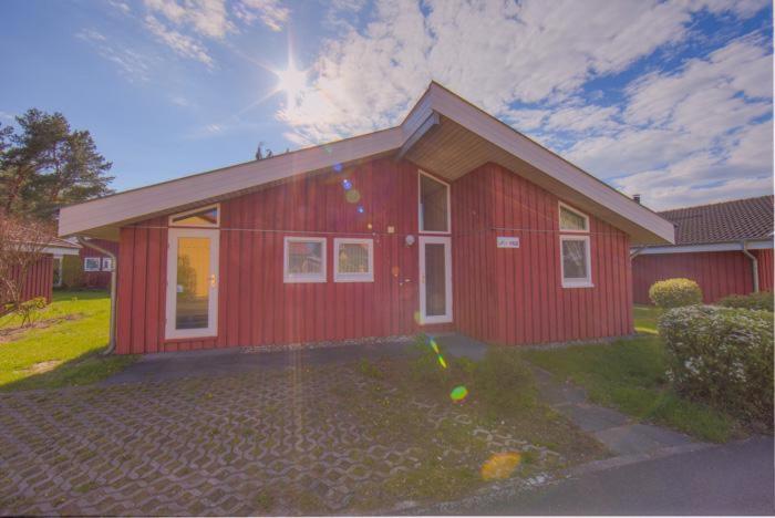 Seeschwalbe 162