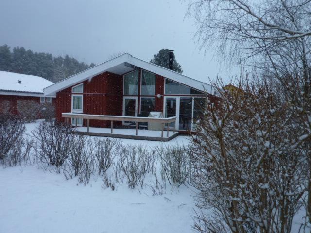 Seeschwalbe 161