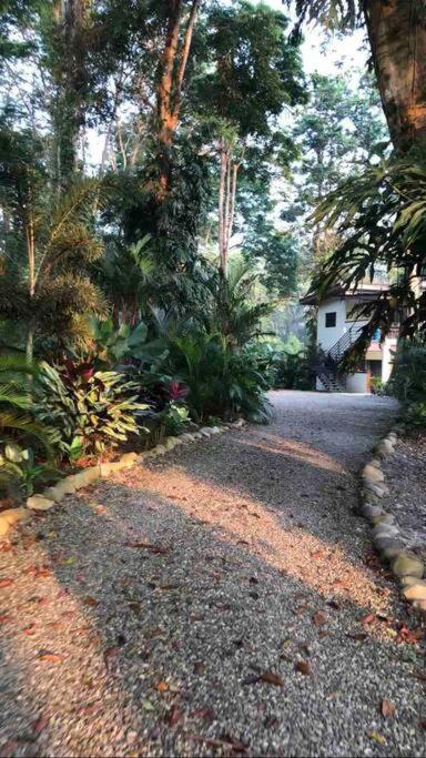 Secluded Jungle Home 5 min walk to the beach - Casa Garza