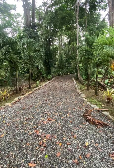 Secluded Jungle Home 5 min walk to the beach - Casa Garza