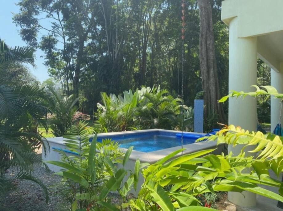 Secluded Jungle Home 5 min walk to the beach - Casa Garza
