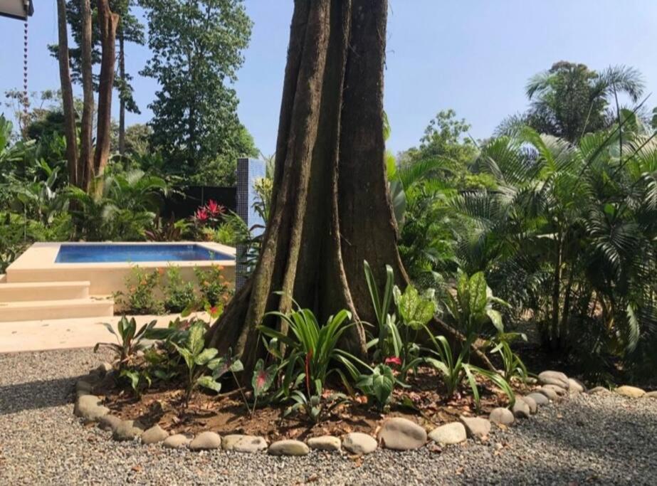 Secluded Jungle Home 5 min walk to the beach - Casa Garza