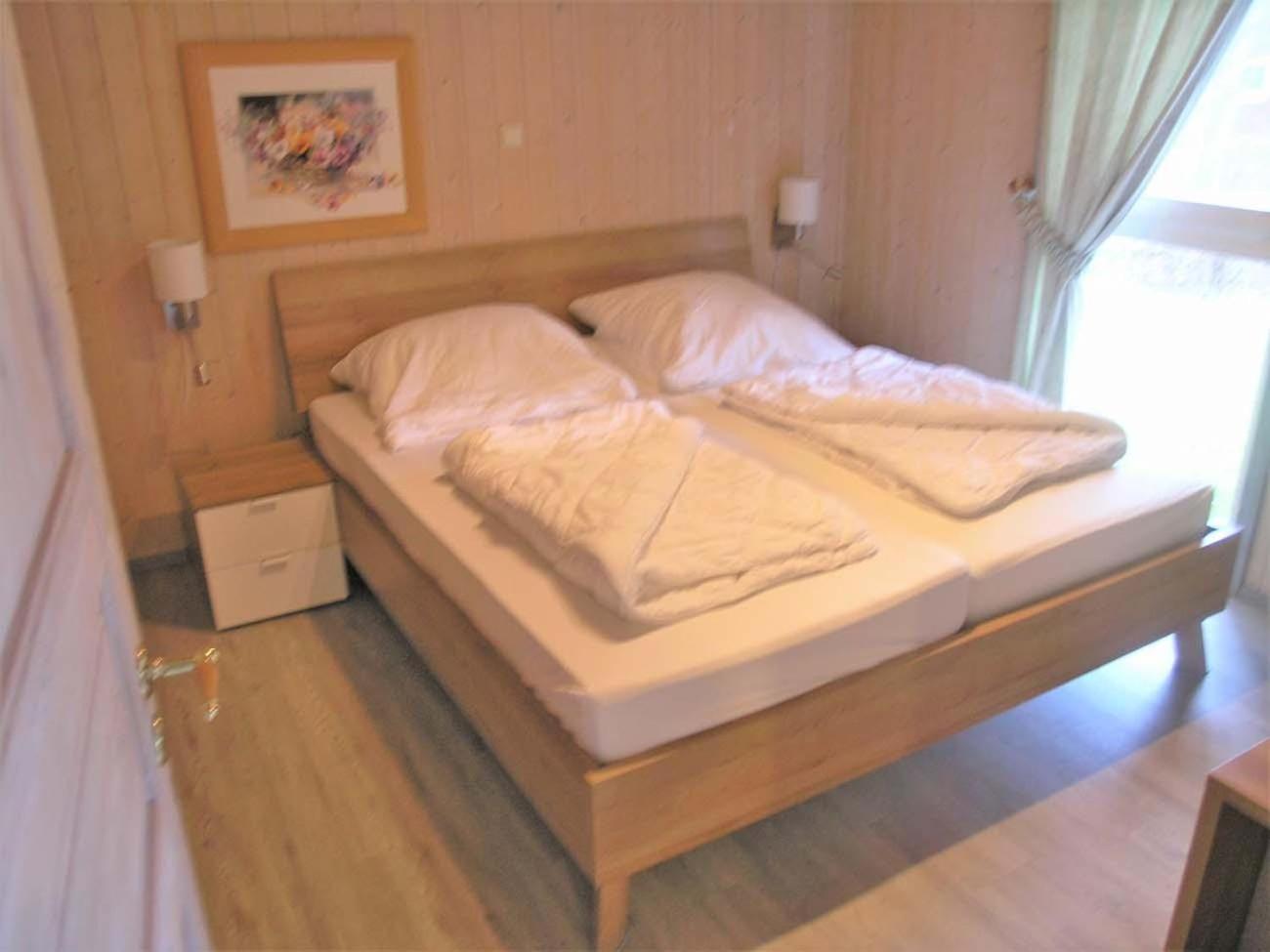 Seeschwalbe 242
