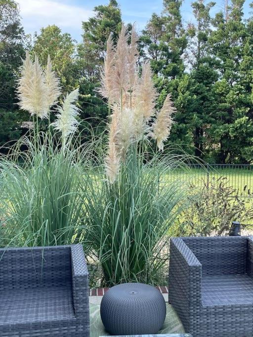 Luxury Waterfront Private Pool Dock Near Cambridge view 4