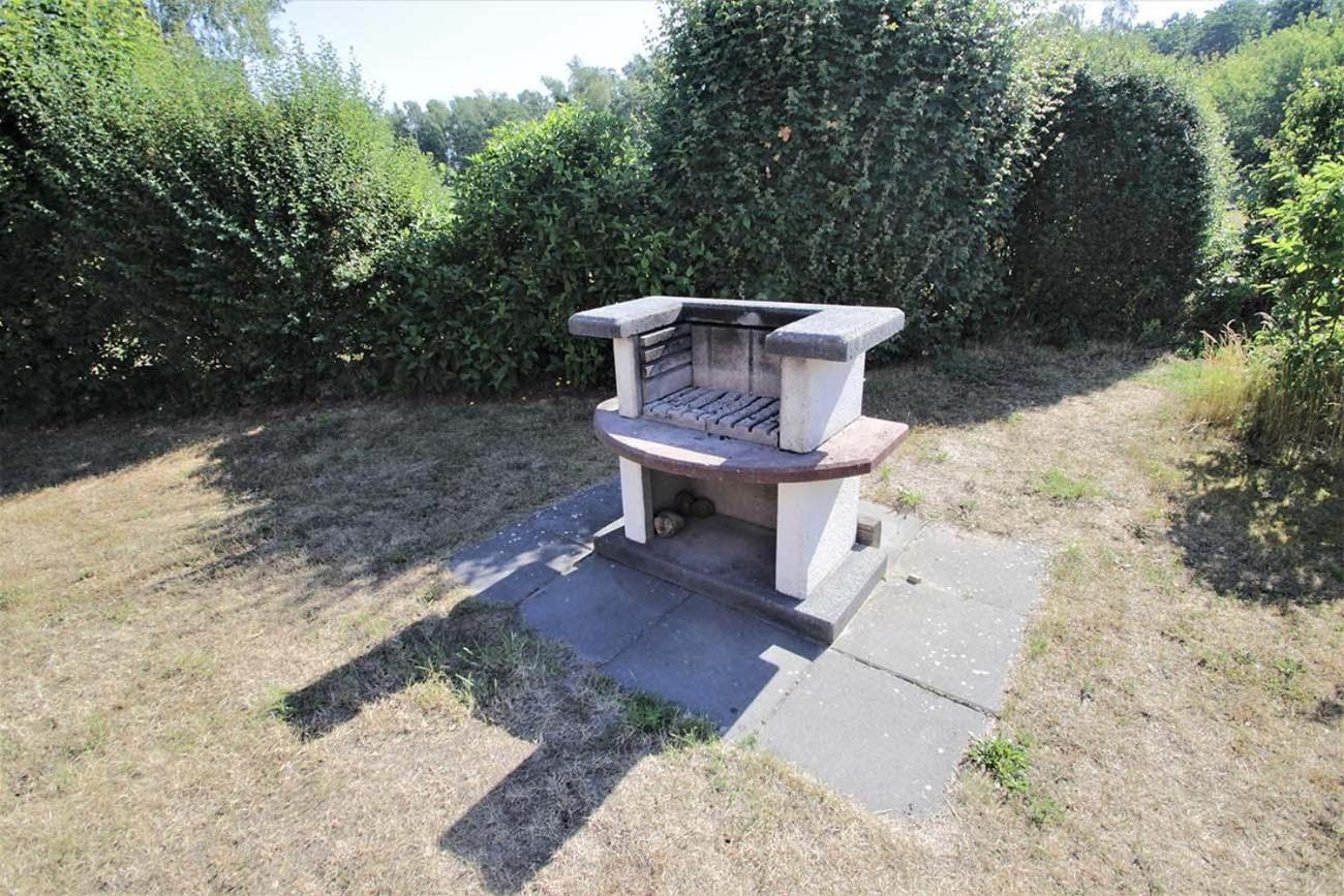 Wildgans 10 en Rechlin — other