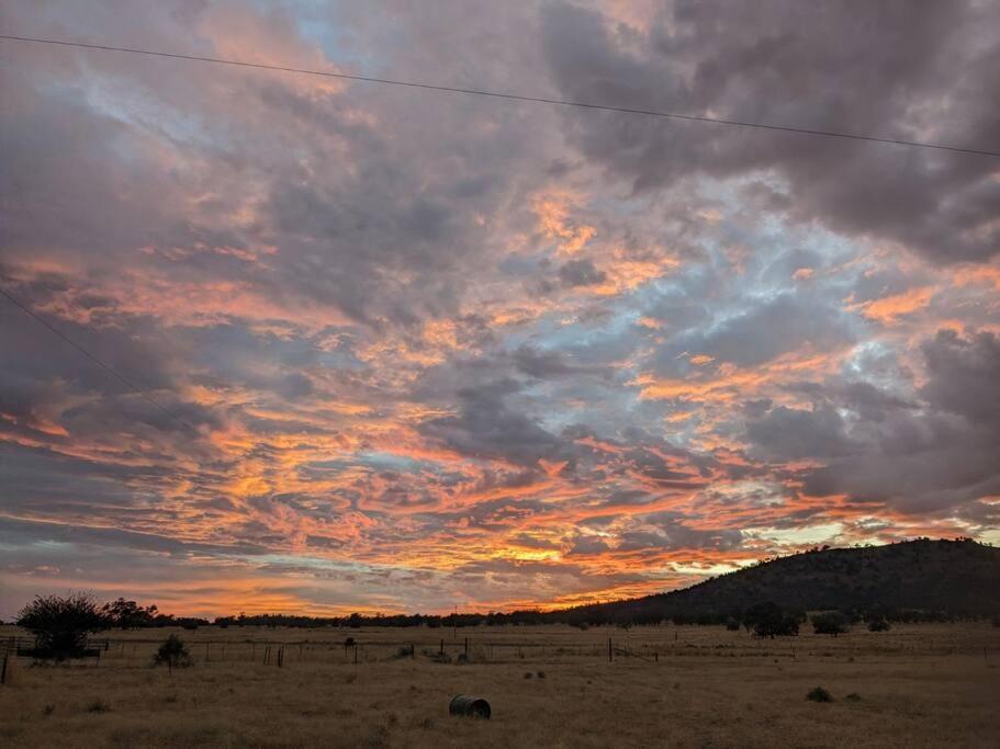 Top Paddock Silo Stay
