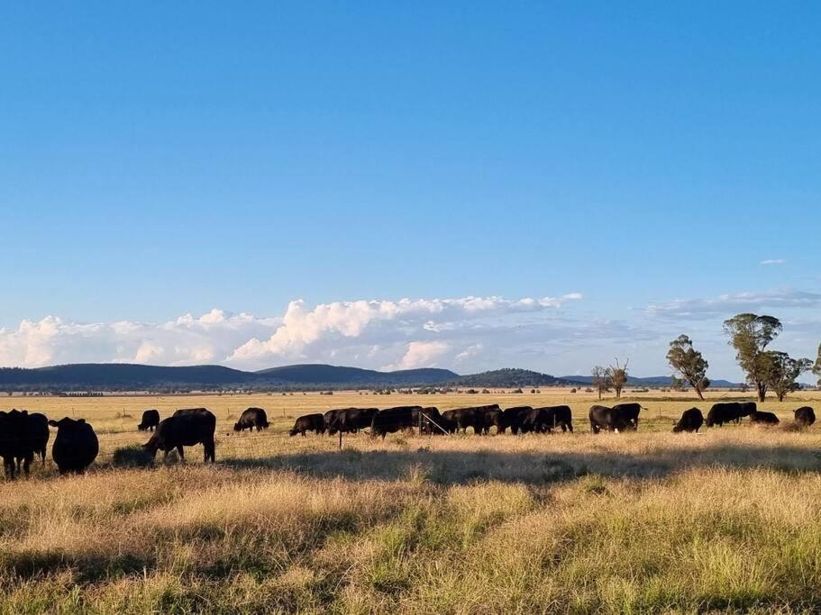 Top Paddock Silo Stay