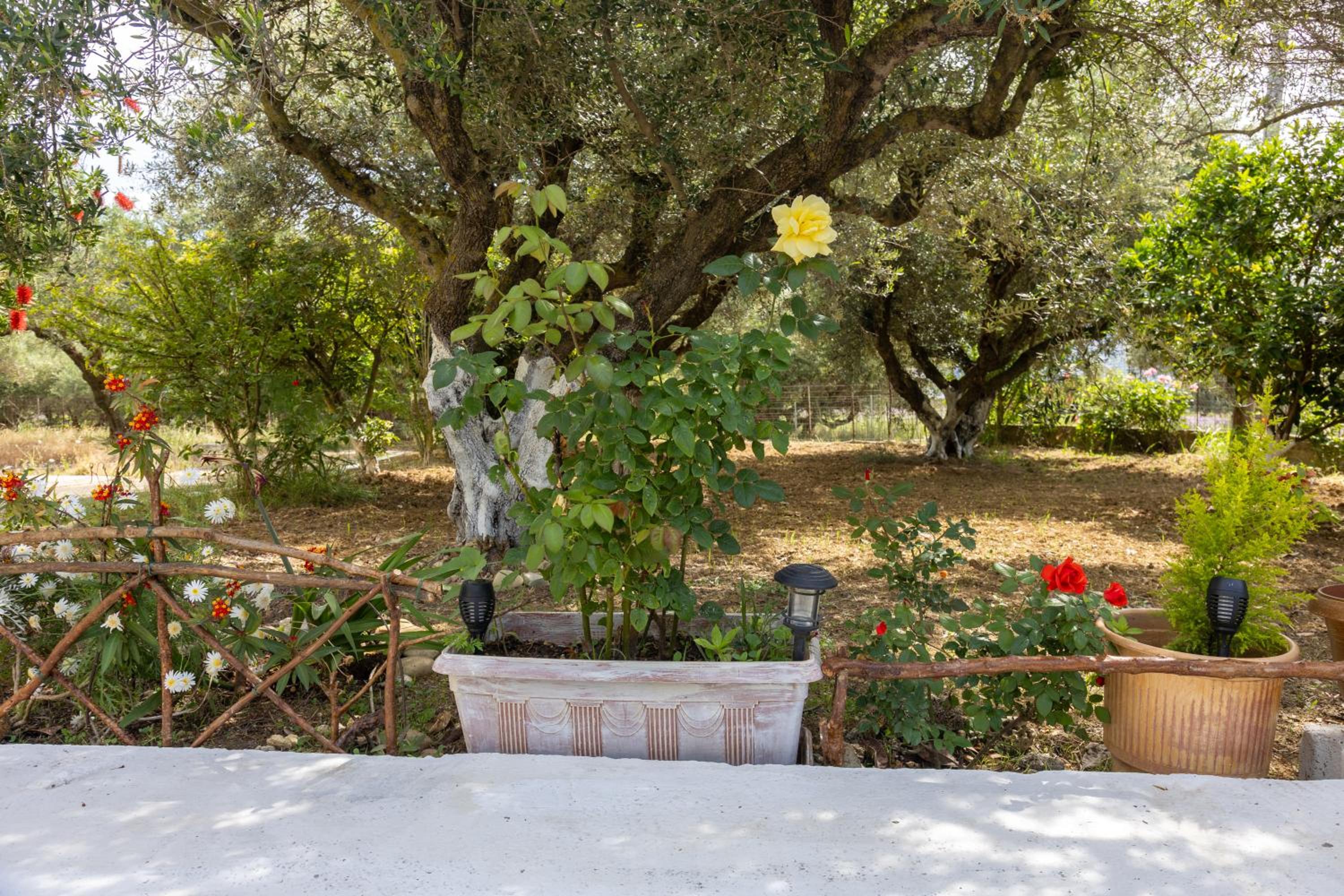 Photo 28
