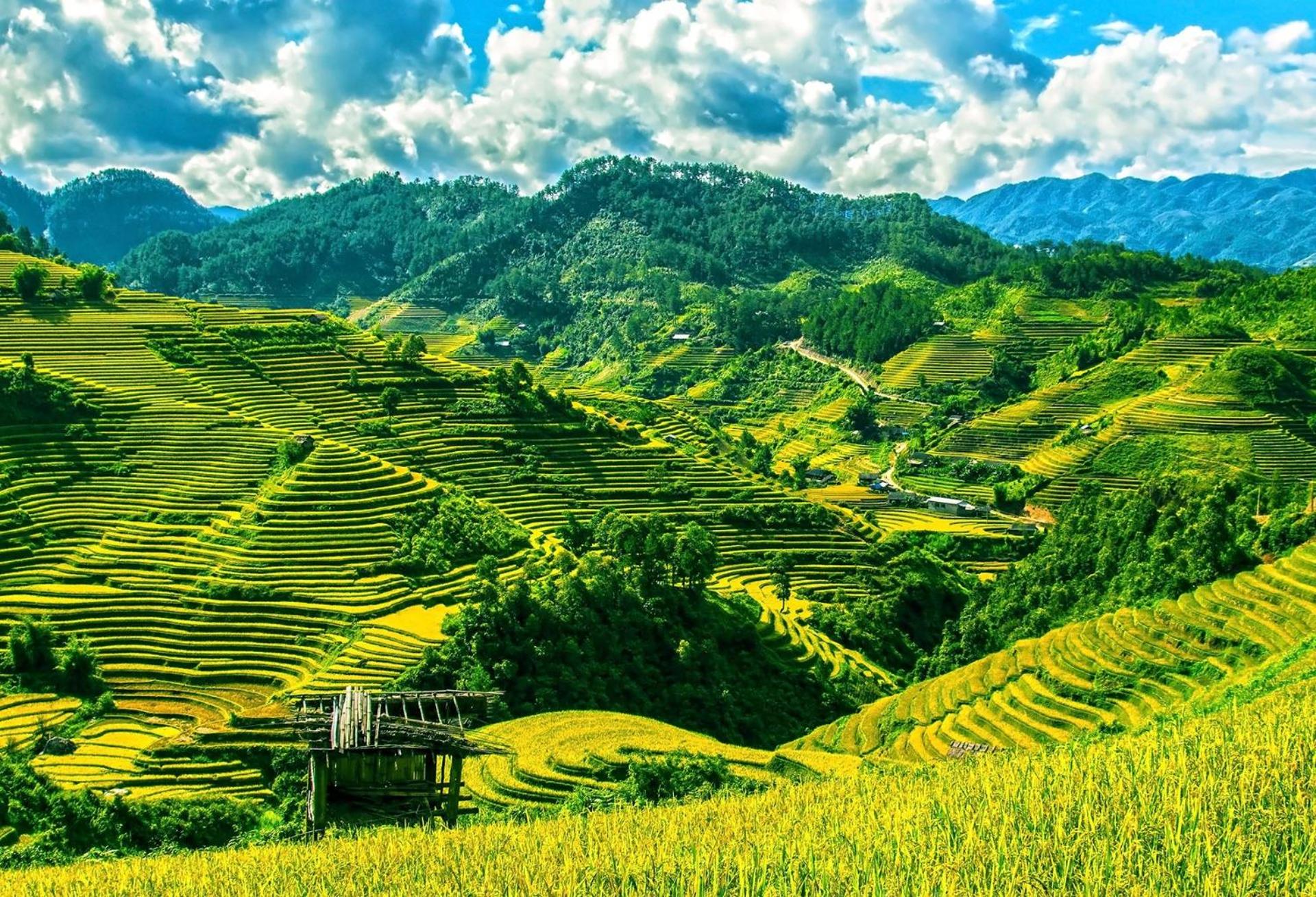 Hello Mu Cang Chai Homestay & Tours