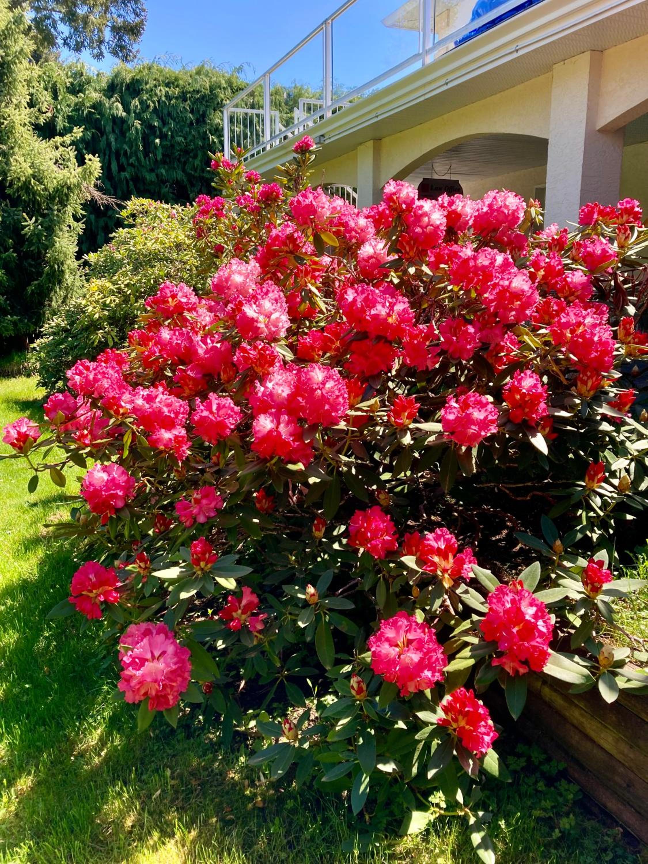Red Robe B&B