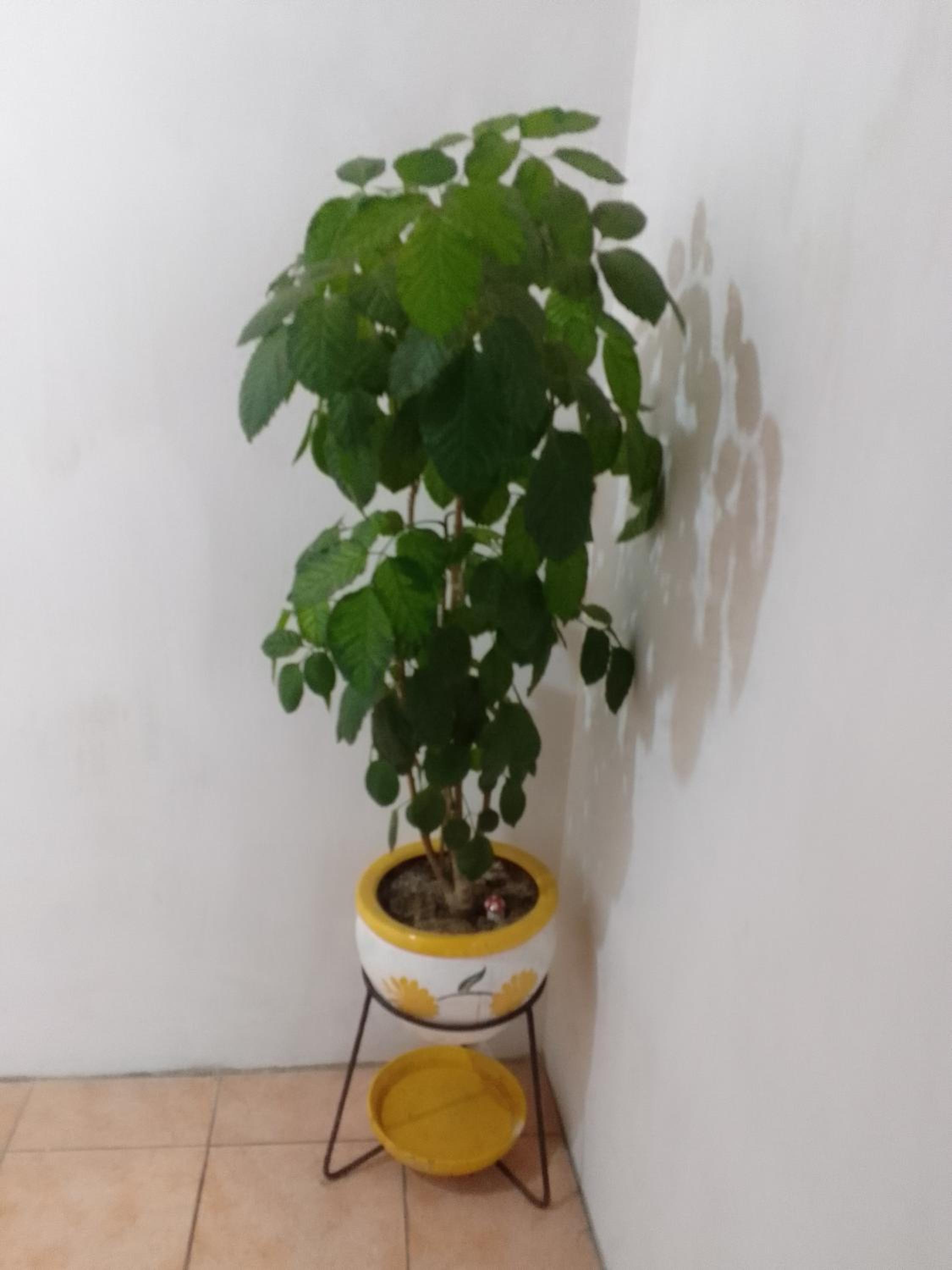 Photo 27