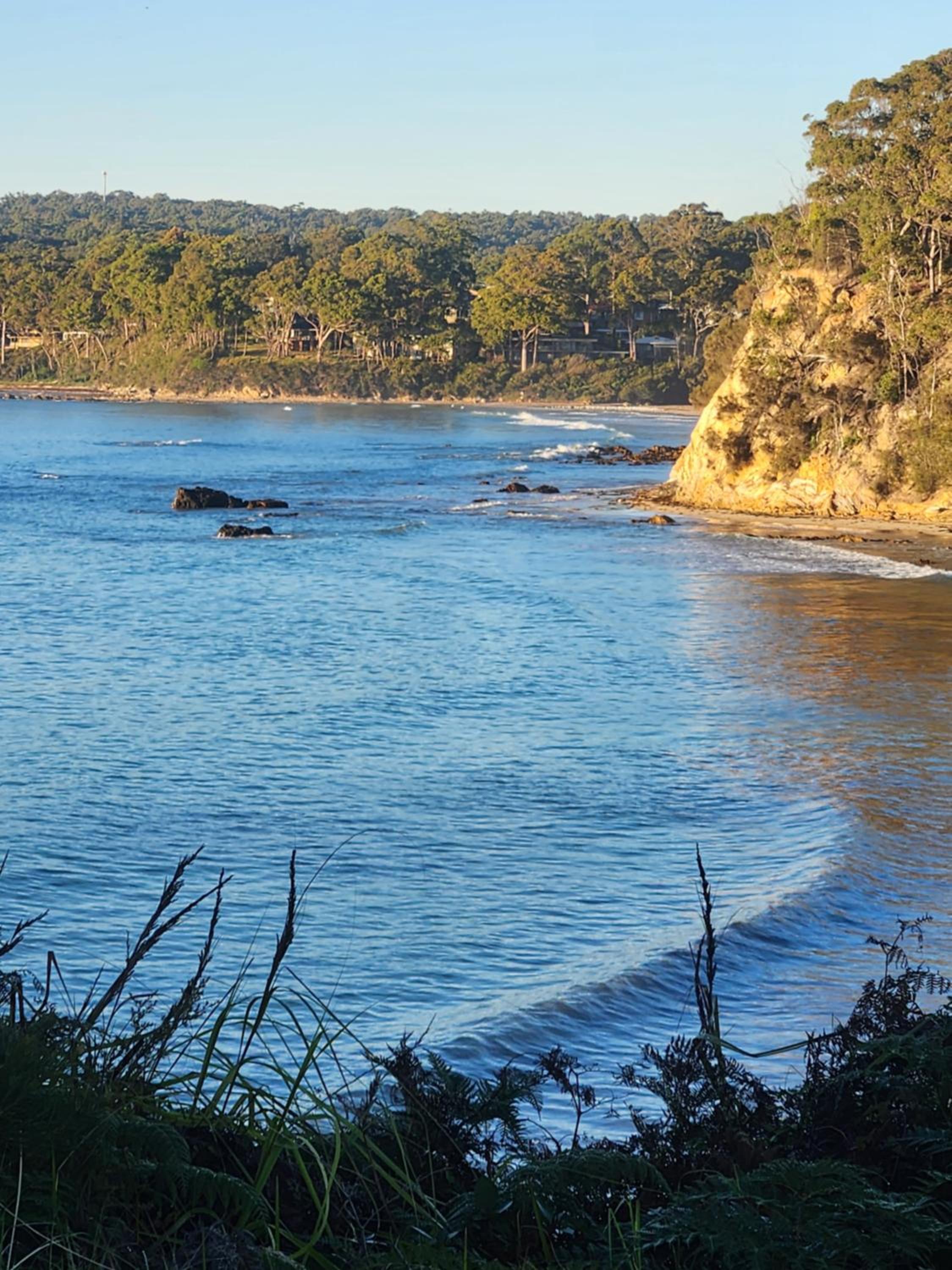 Dolphinview