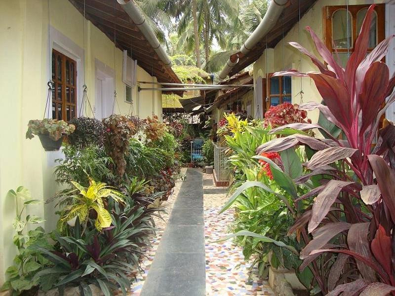 Zappia Cove Resort Palolem view 2