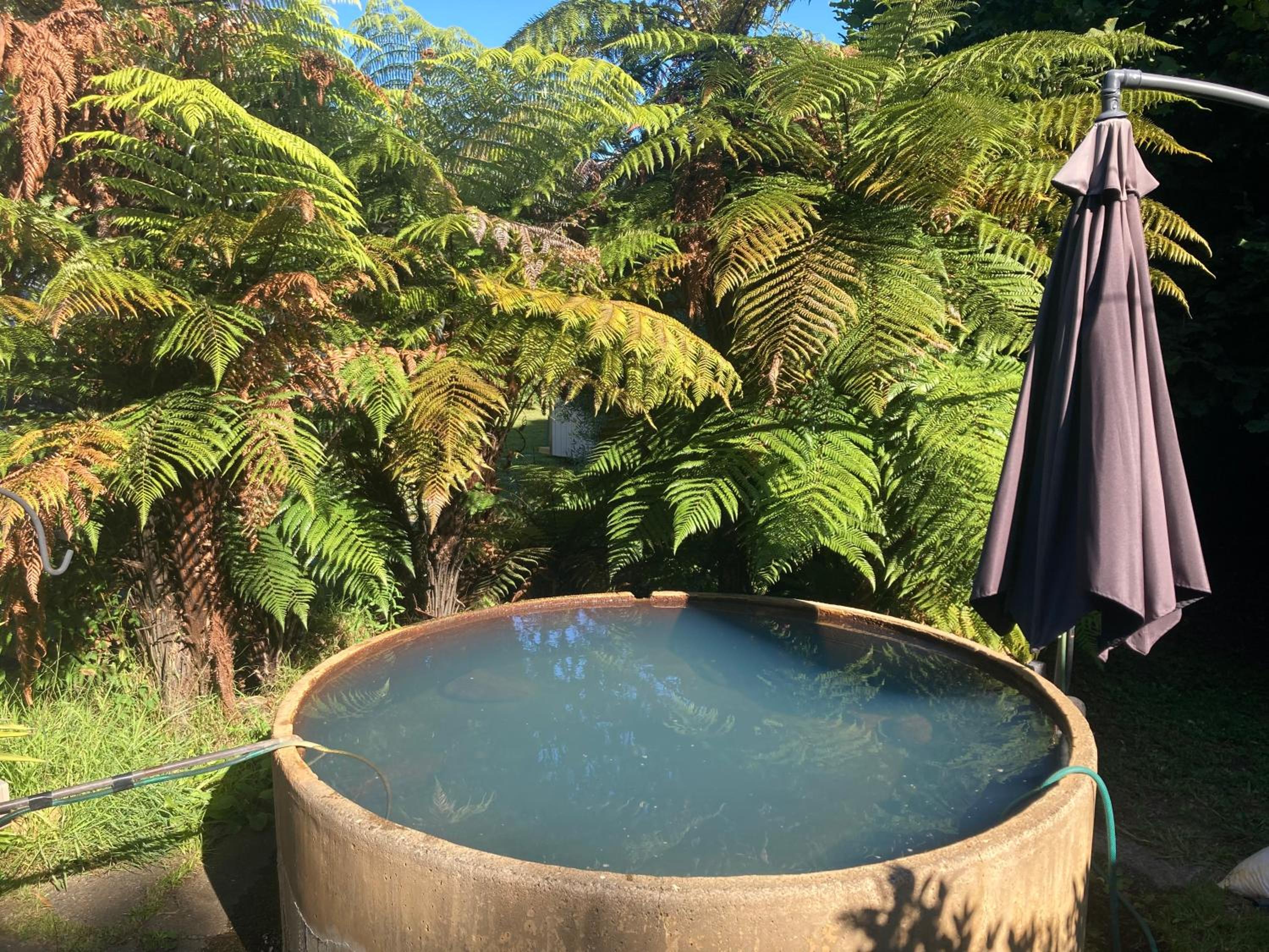 Kiwi cabin with geothermal pool by lake Taupo
