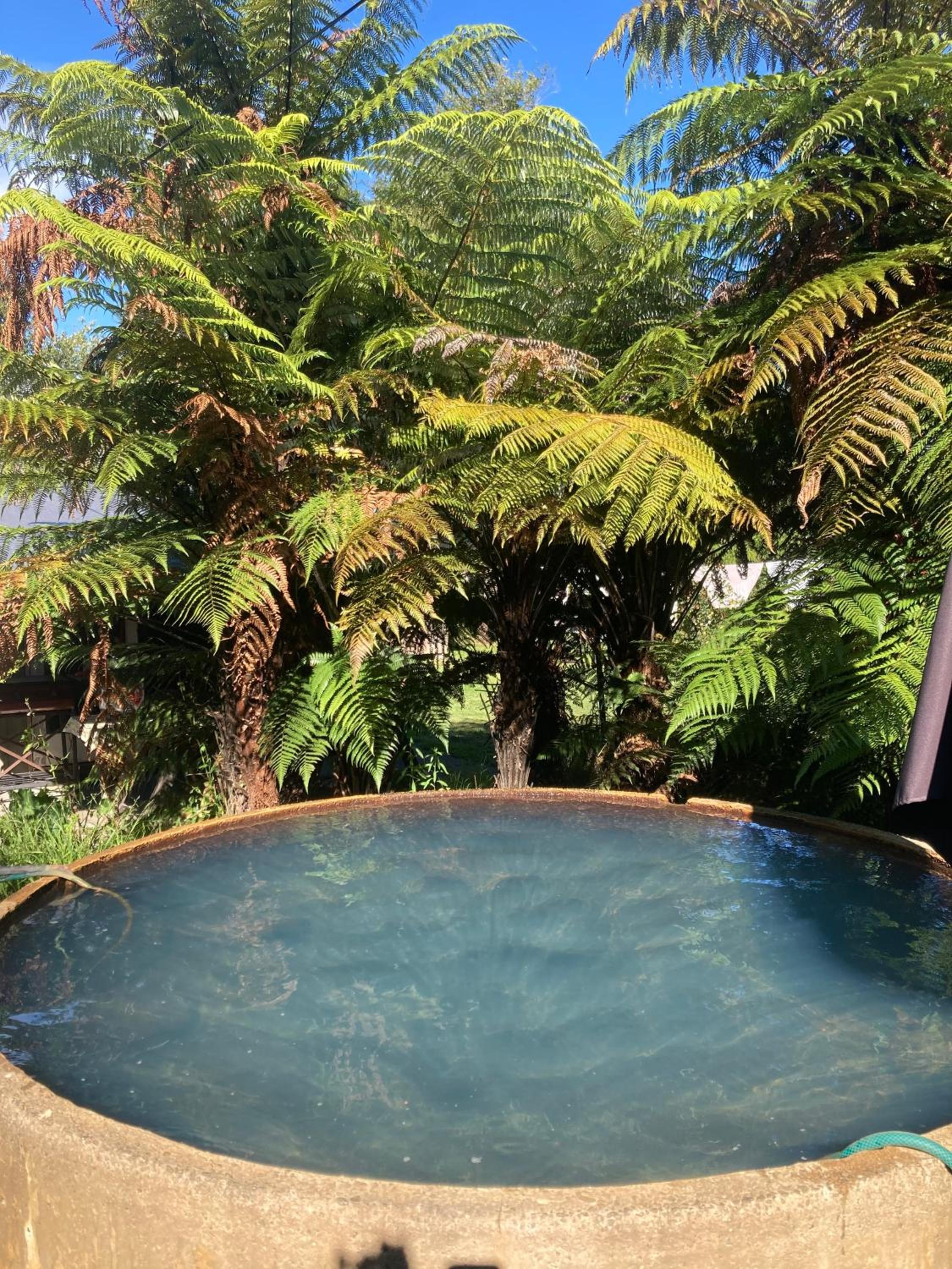 Kiwi cabin with geothermal pool by lake Taupo