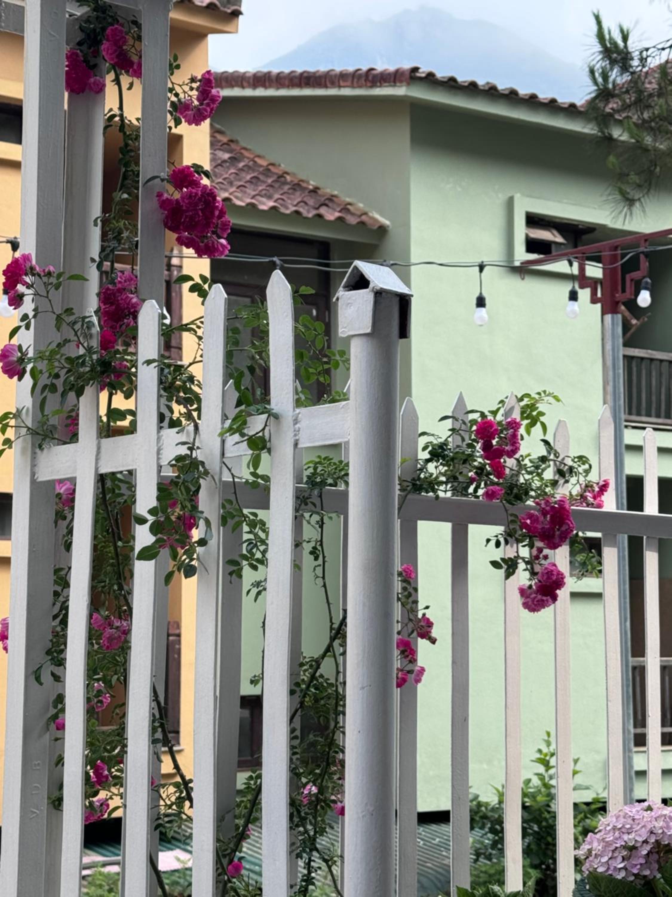 An's House SaPa - Nguyên Căn 5 Phòng Ngủ View Núi view 5
