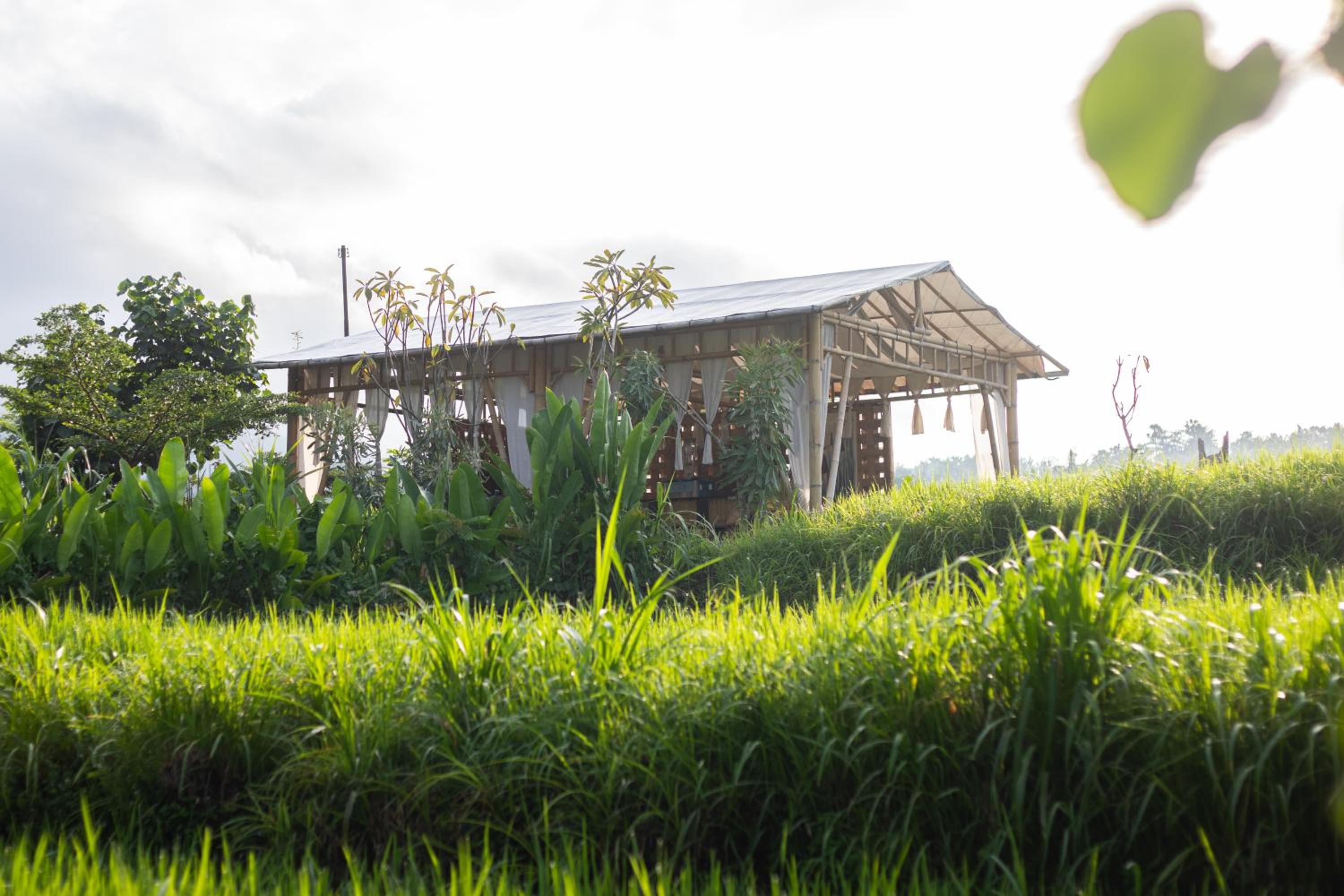 Camani Glamping