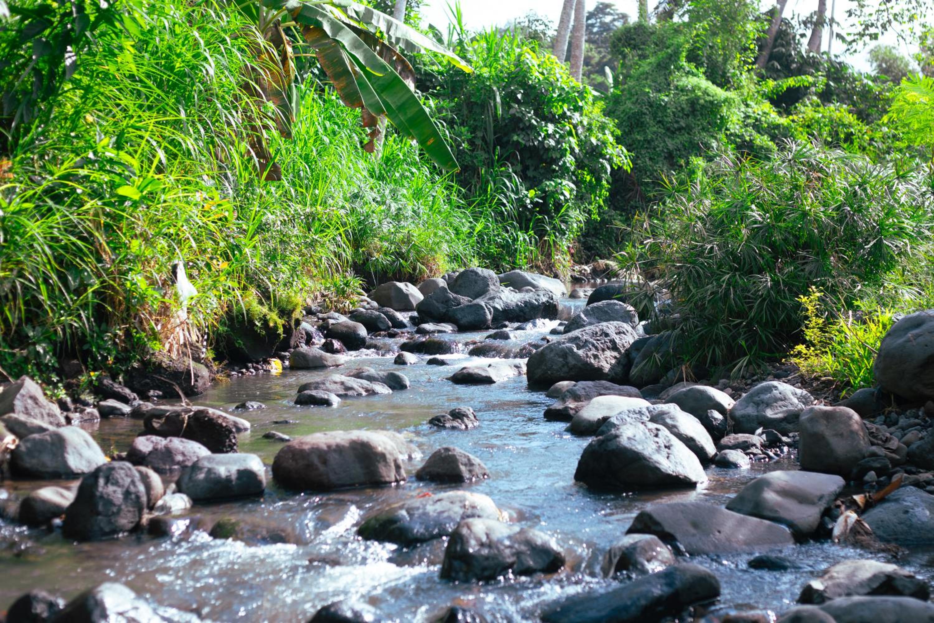 Camani Glamping