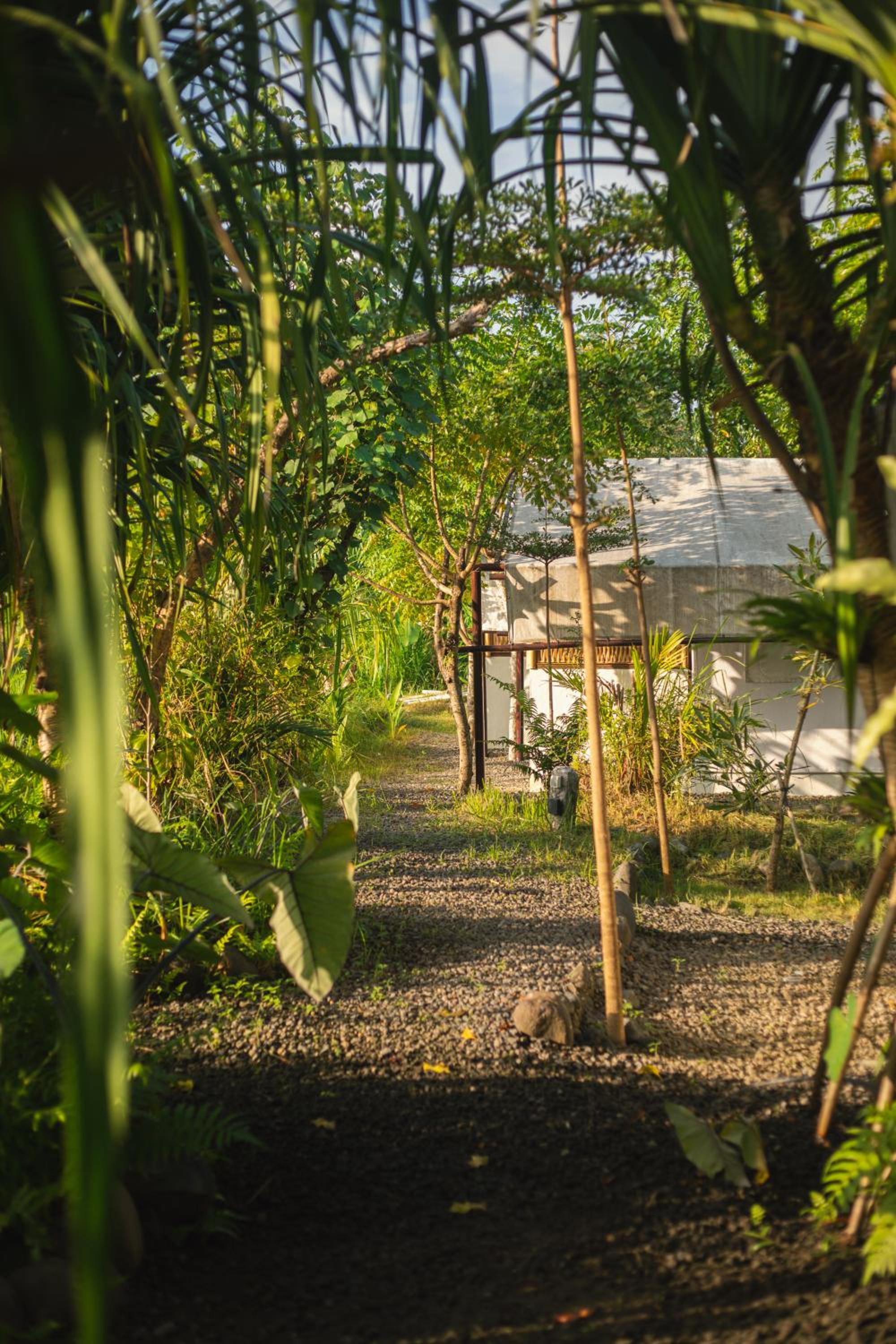 Camani Glamping