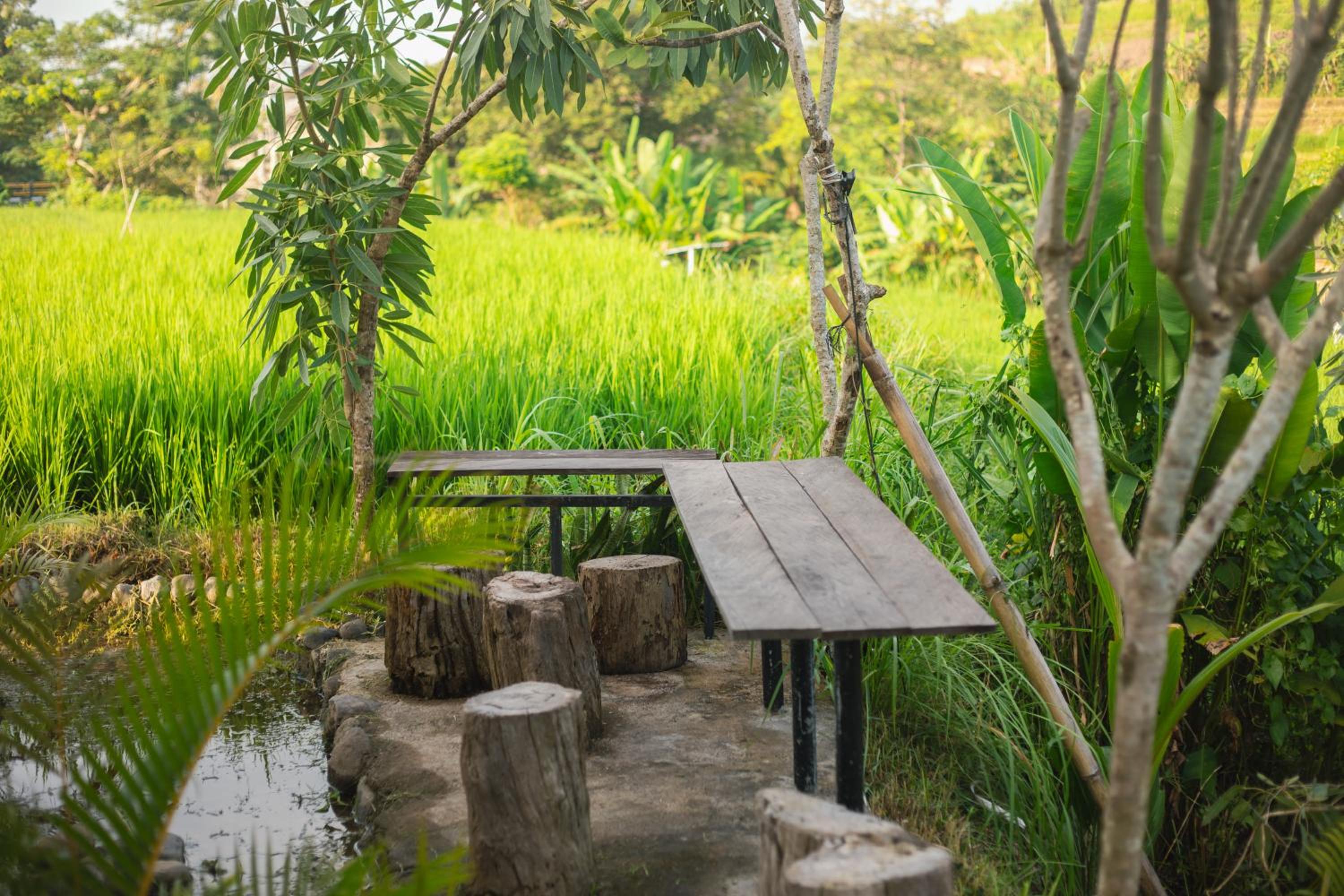 Camani Glamping