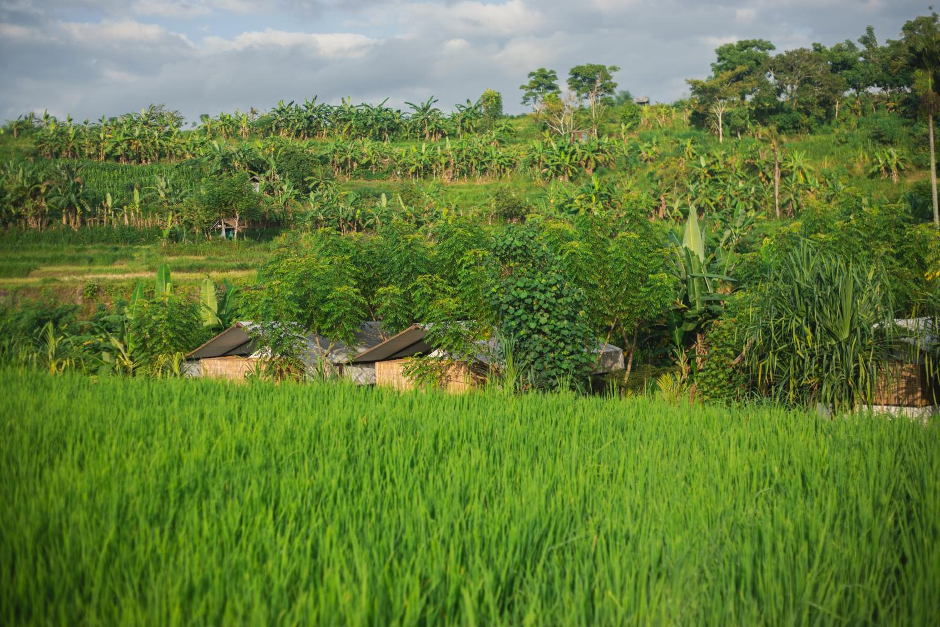 Camani Glamping