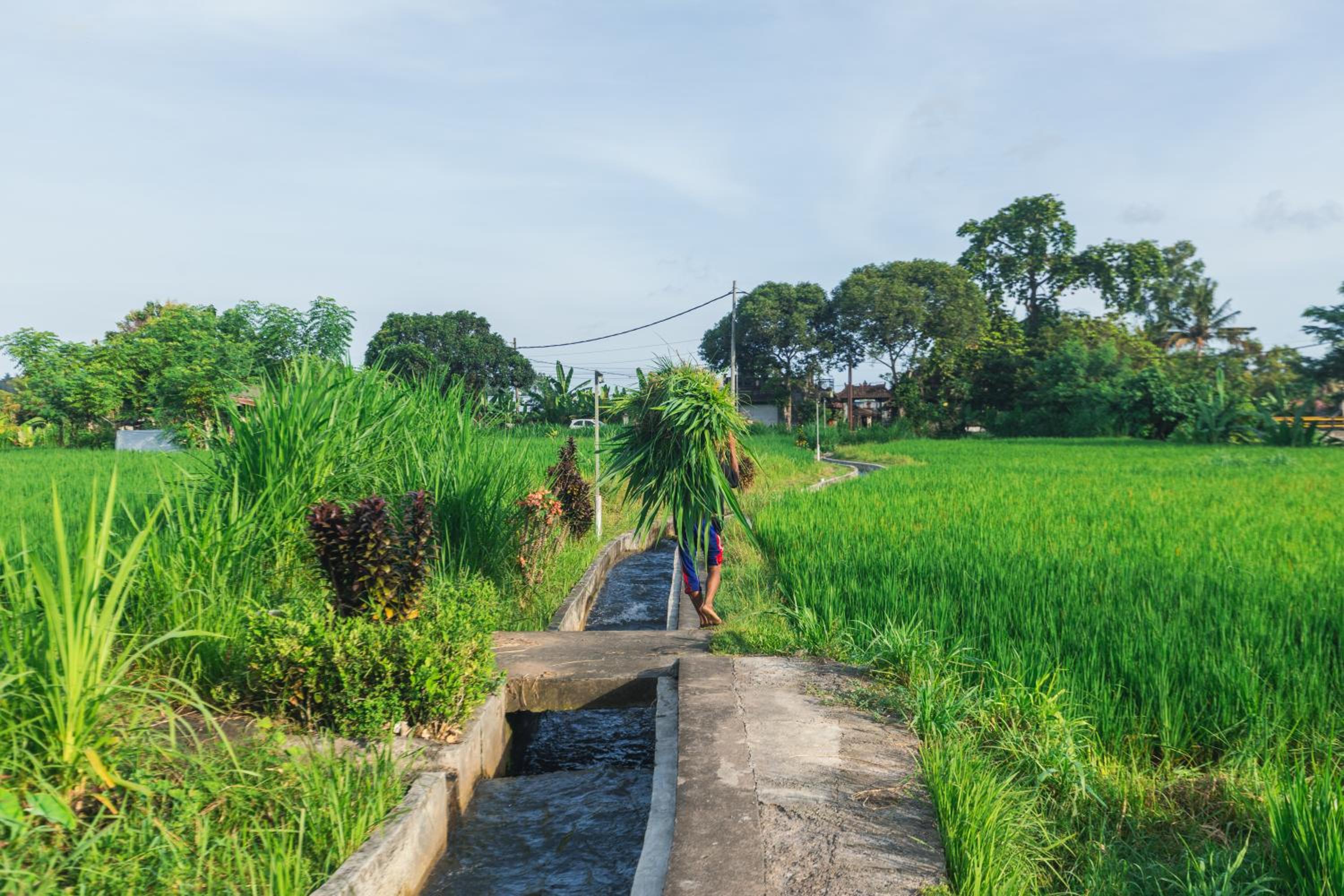Camani Glamping