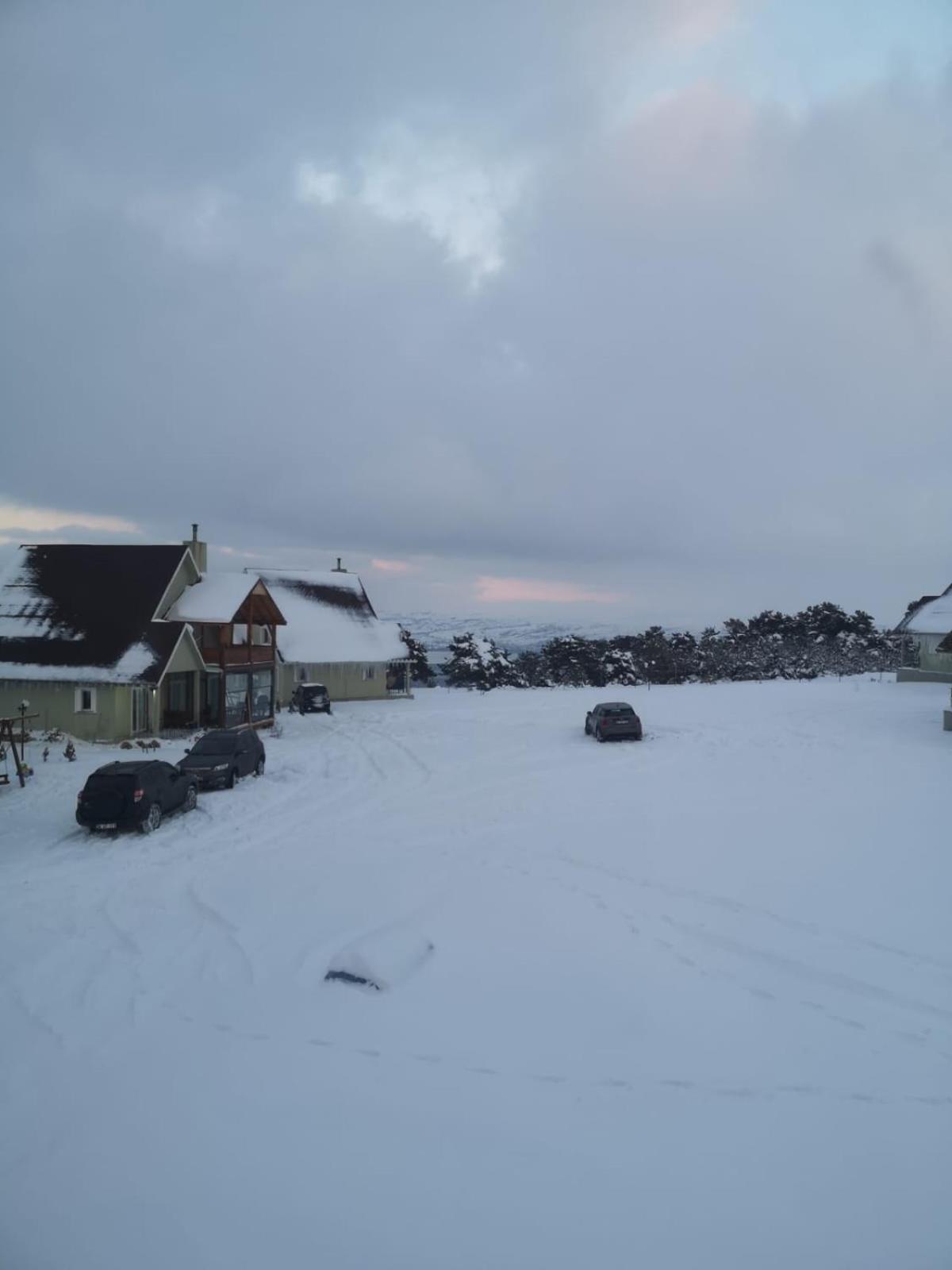 Photo 49